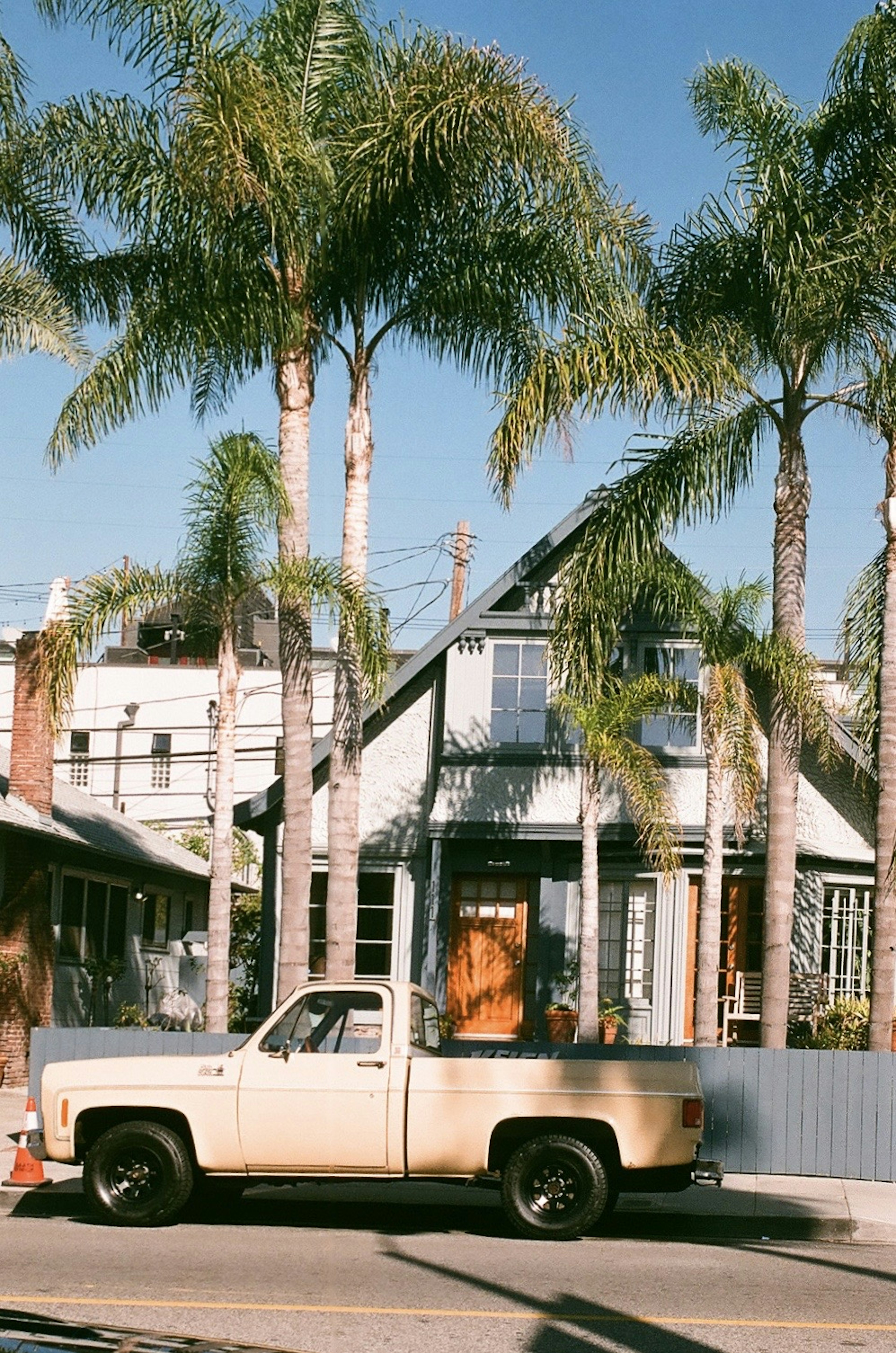 Vintage truck parked in front of a palm tree-lined house