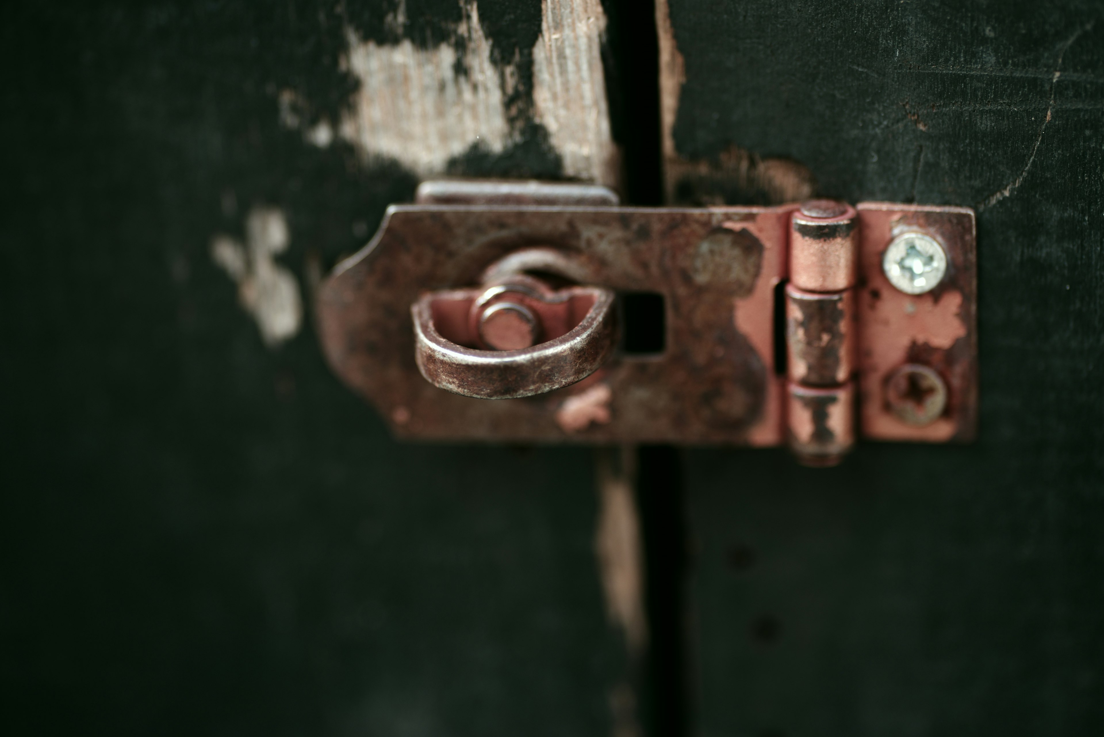 Close-up of a rusty latch and lock on an old green door