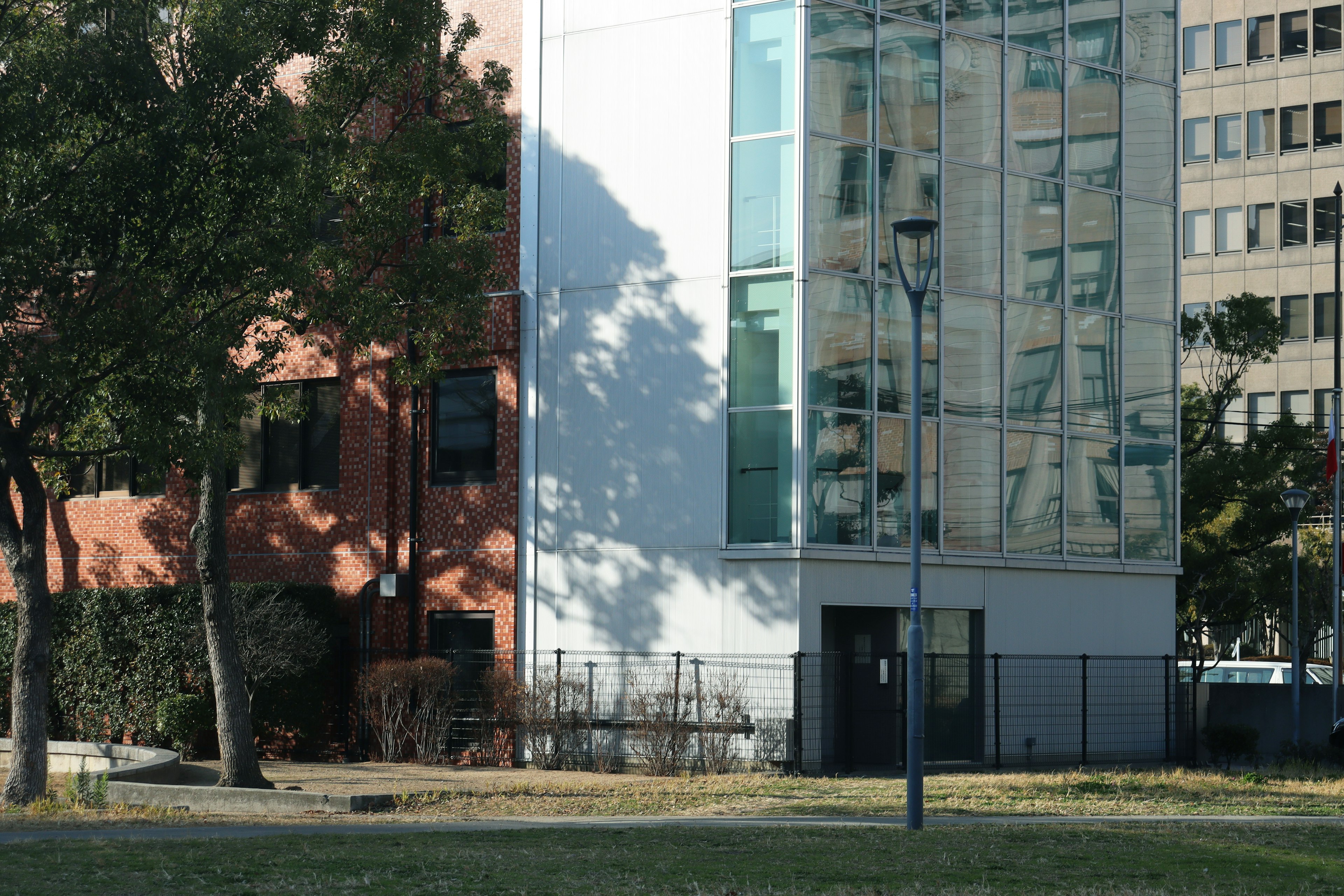 Edificio moderno con fachada de vidrio y sombras en un parque verde