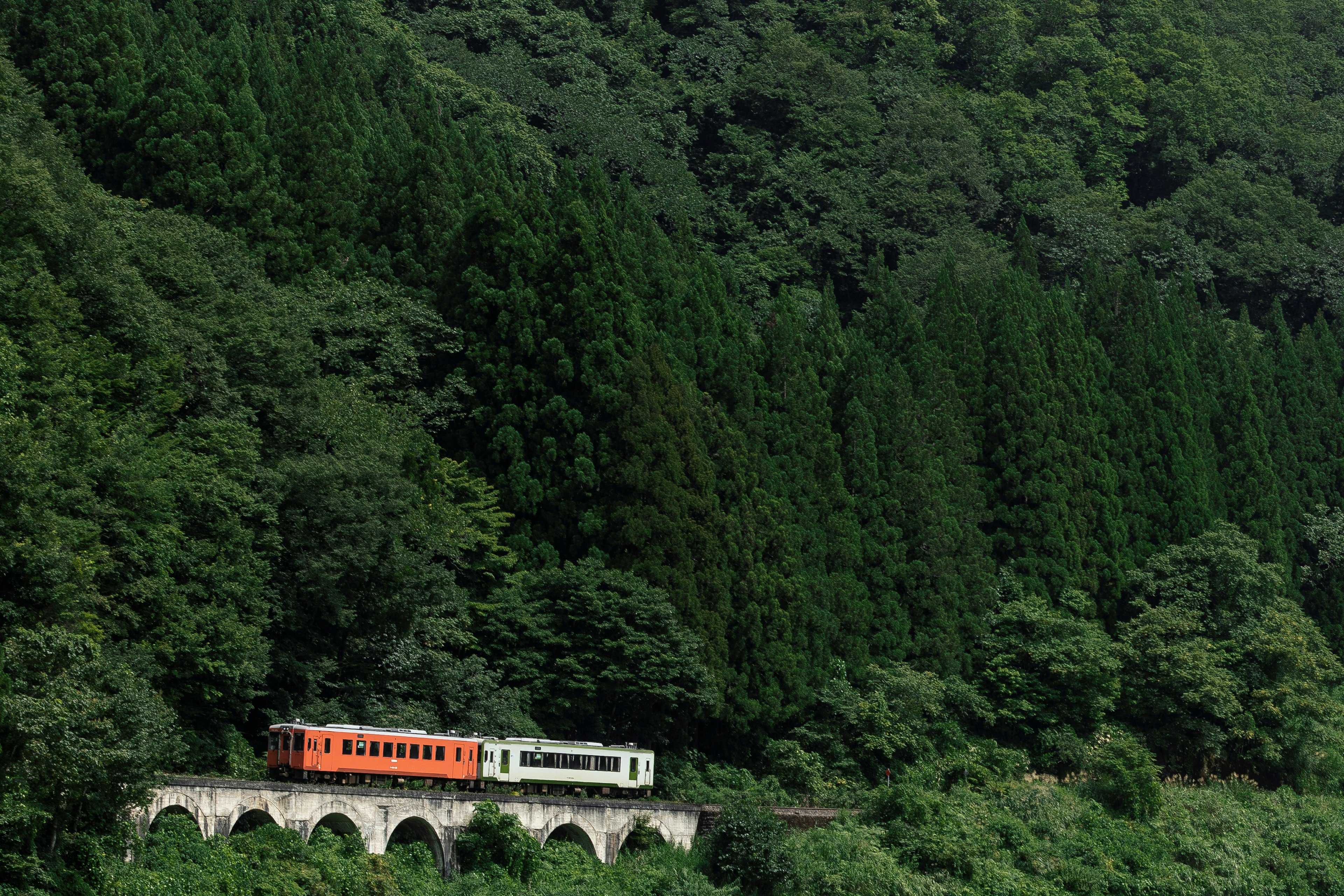 橙色和白色火車穿行在郁郁蔥蔥的山脈中