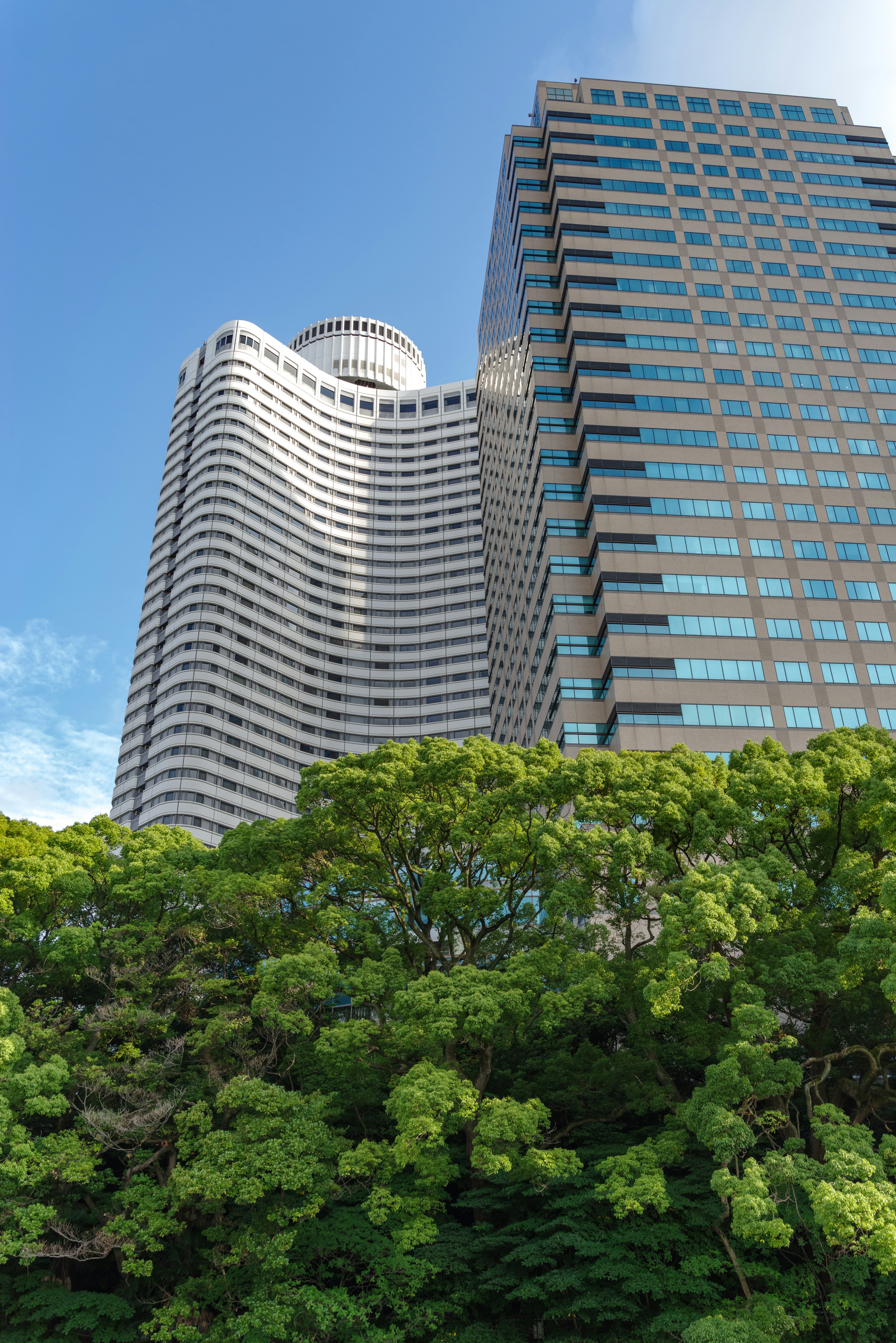 高層ビルと緑の木々を背景にした青空の風景