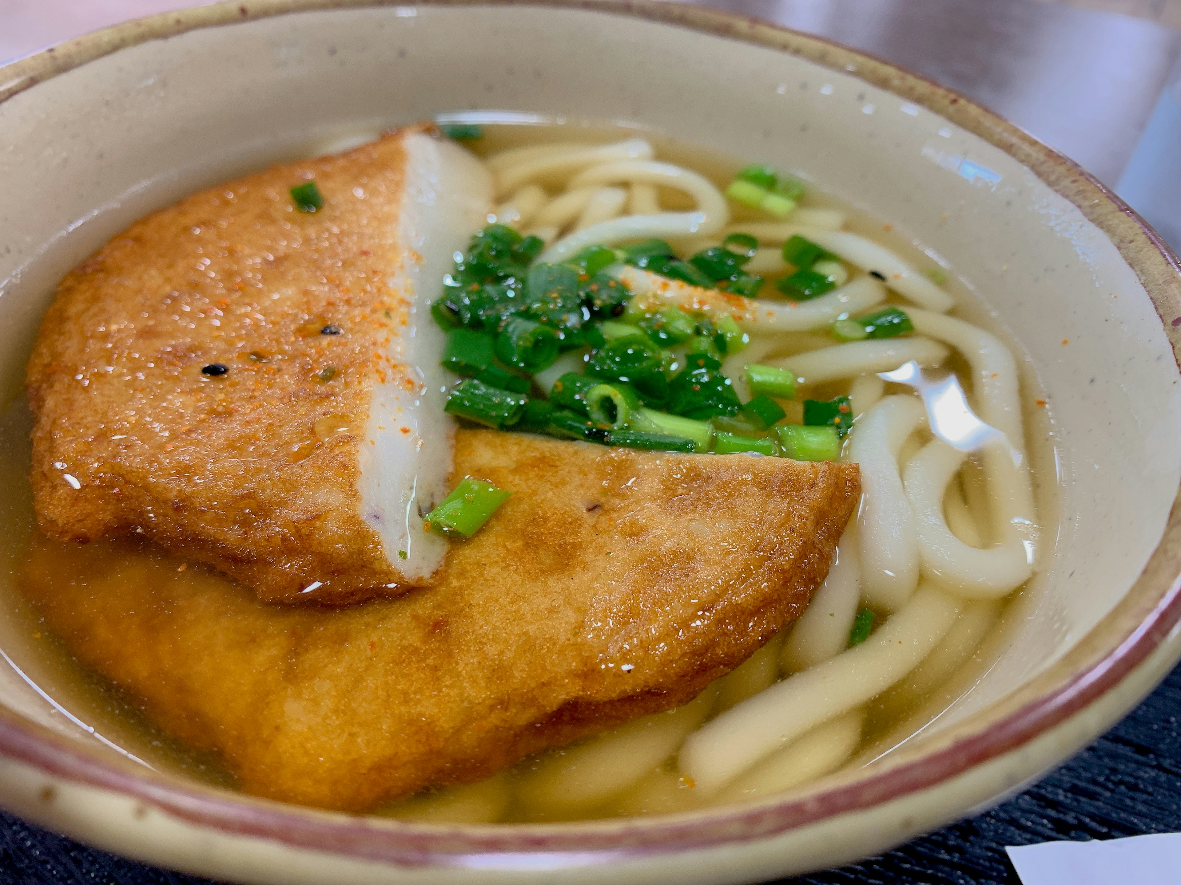 Bowl of udon noodles with fried tofu and green onions