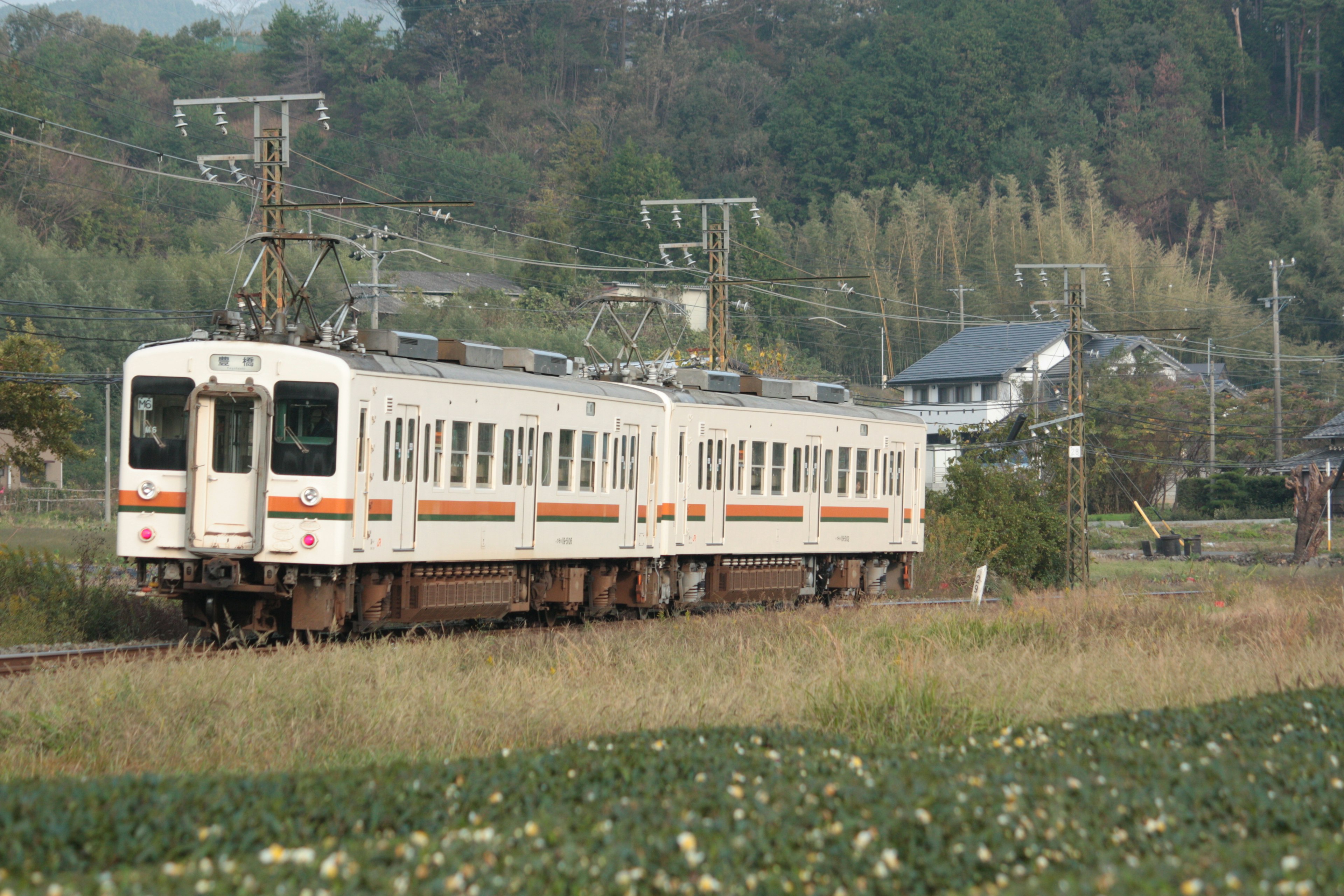 Treno bianco che corre attraverso un paesaggio rurale