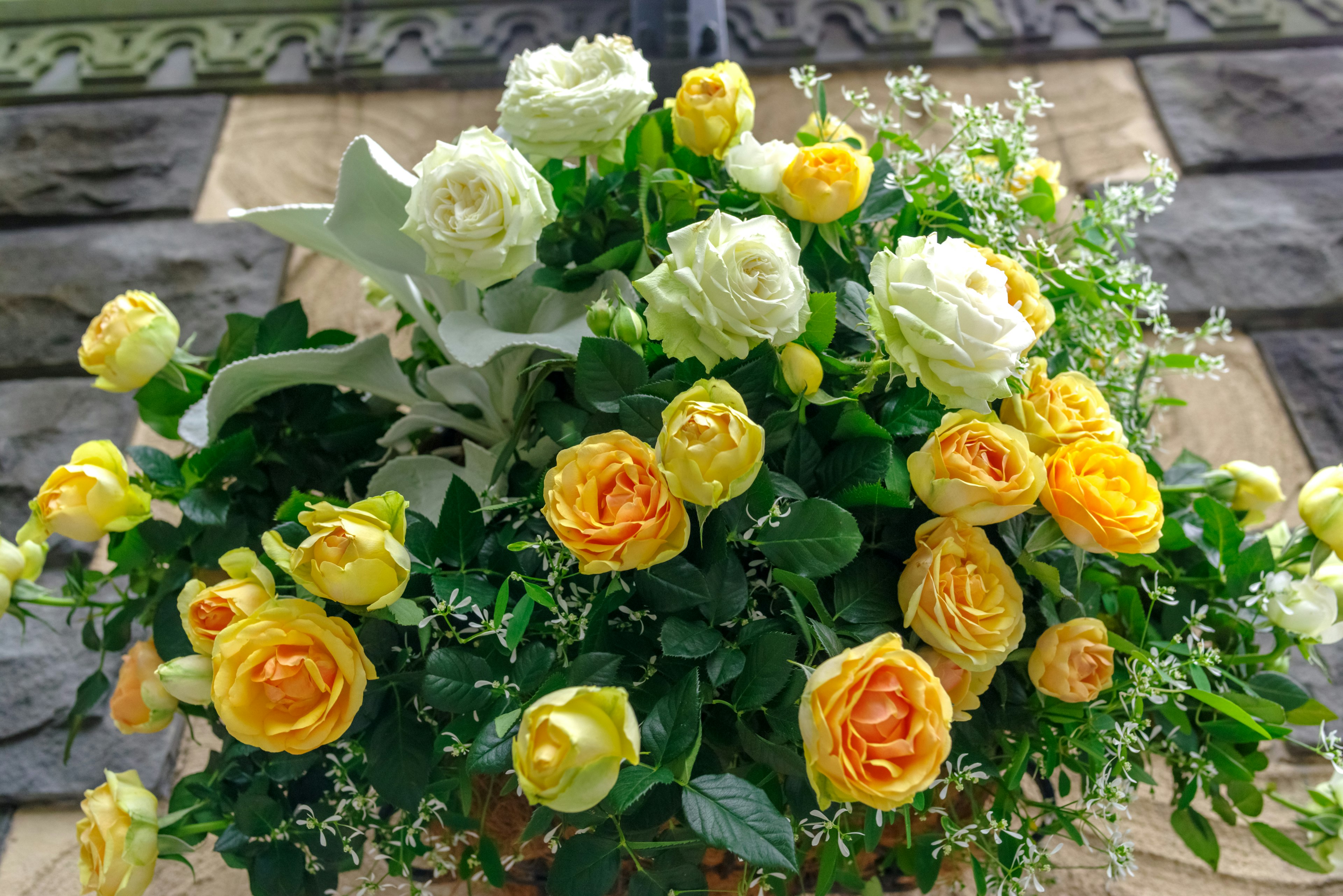 Un bouquet di rose gialle e bianche circondato da una lussureggiante vegetazione