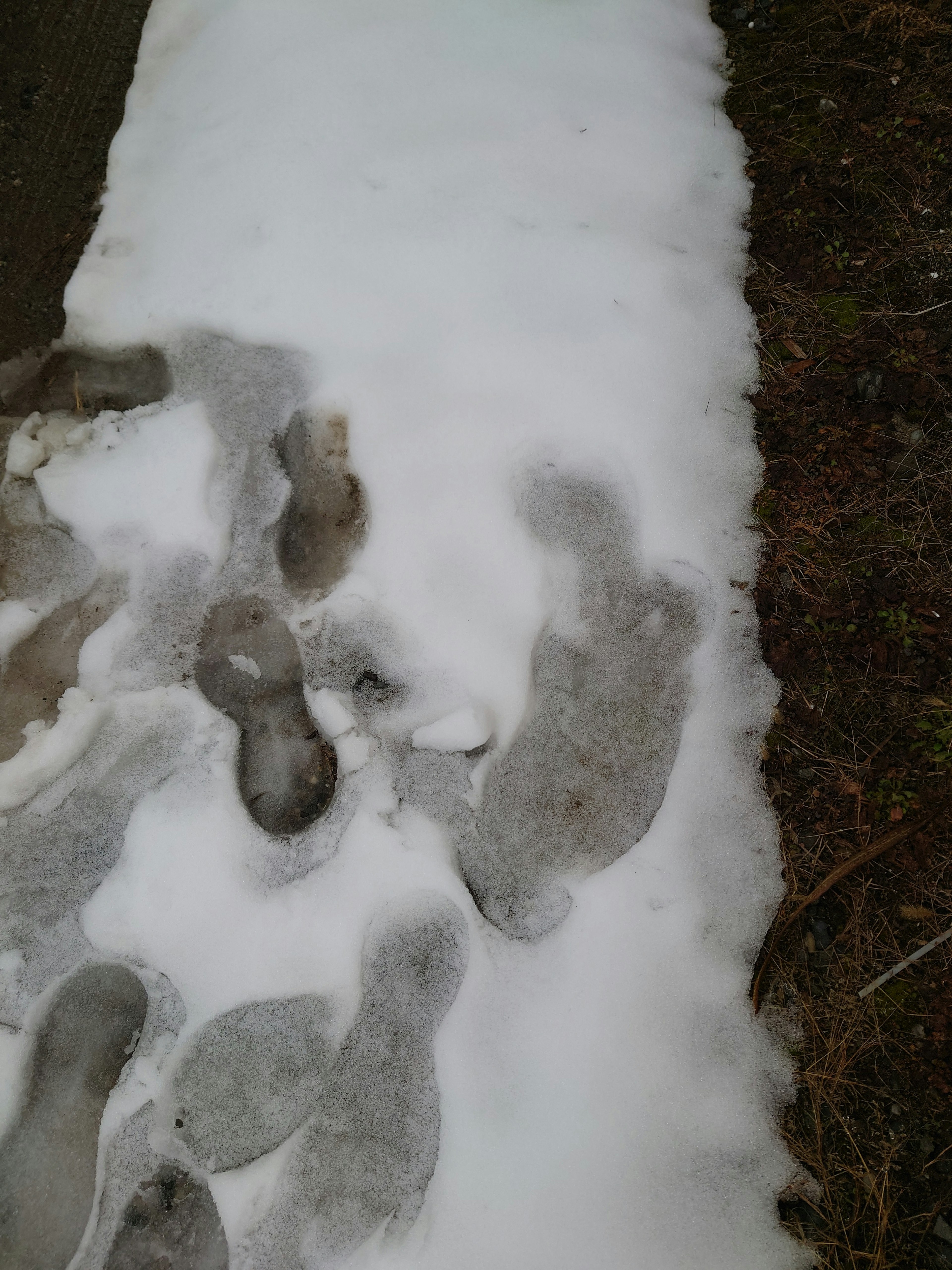 Footprints in the snow along a path