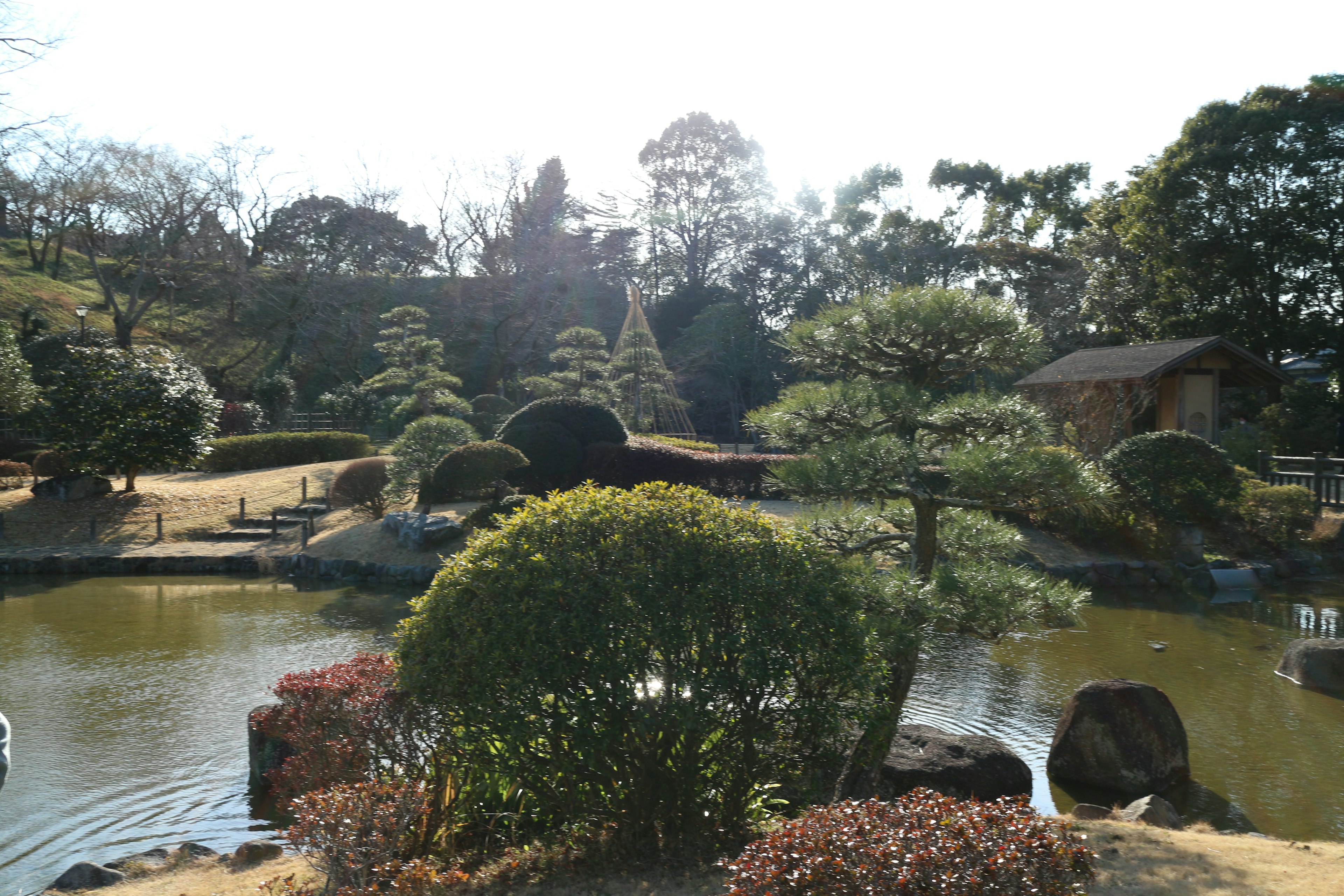 Pemandangan taman Jepang yang tenang dengan kolam dan vegetasi subur