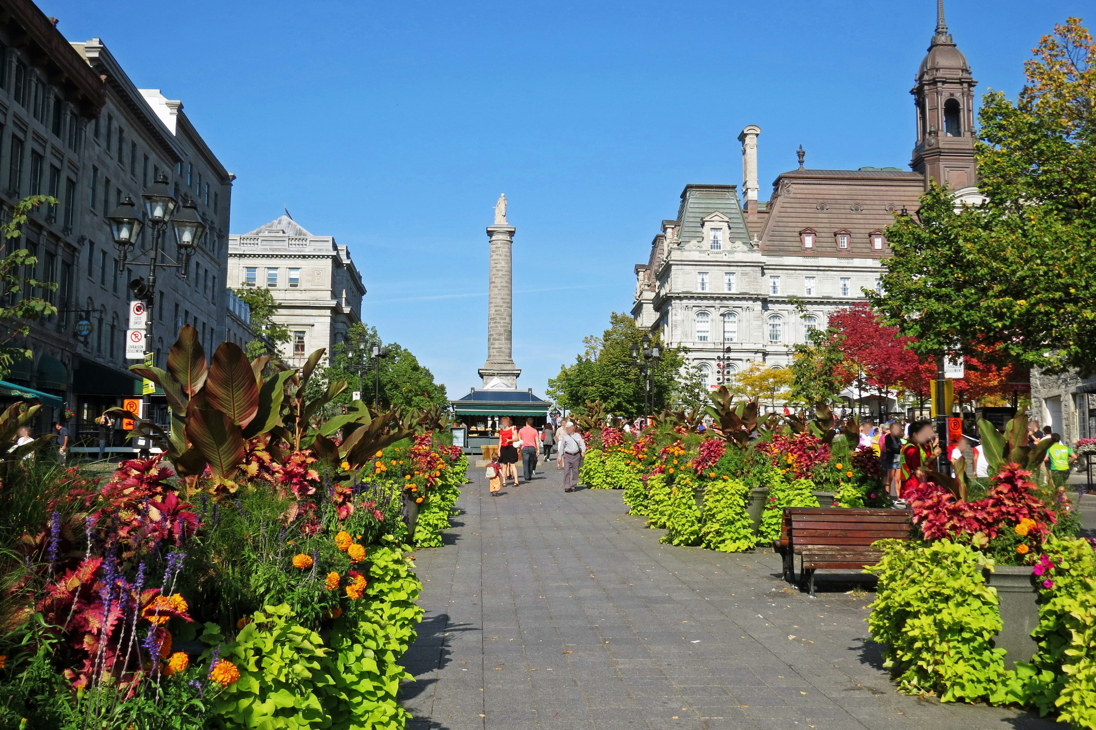 Parterre de fleurs vibrantes dans un parc de Montréal avec des bâtiments historiques en arrière-plan