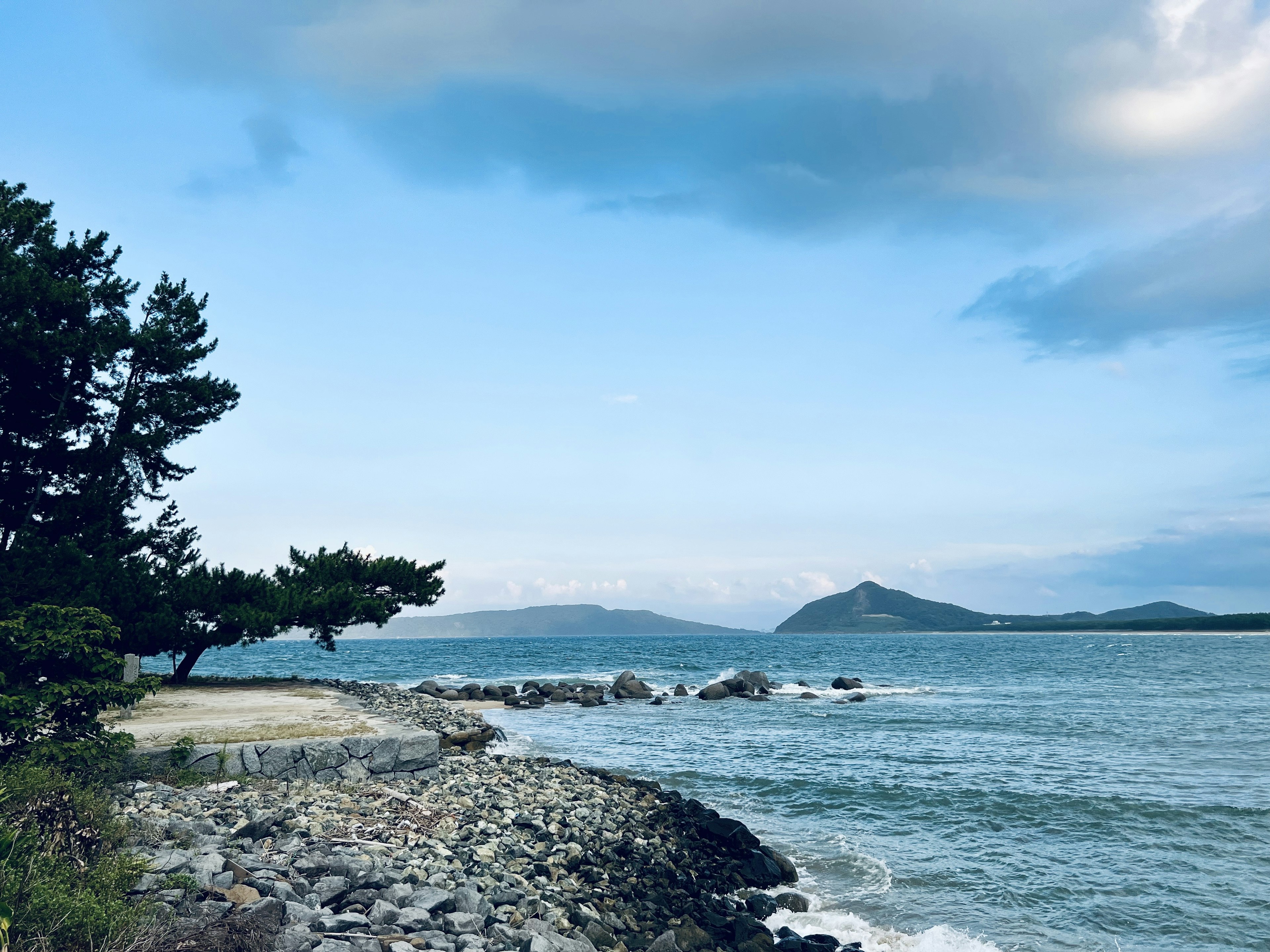 青い海と空の風景に沿った岩だらけの海岸線と木々