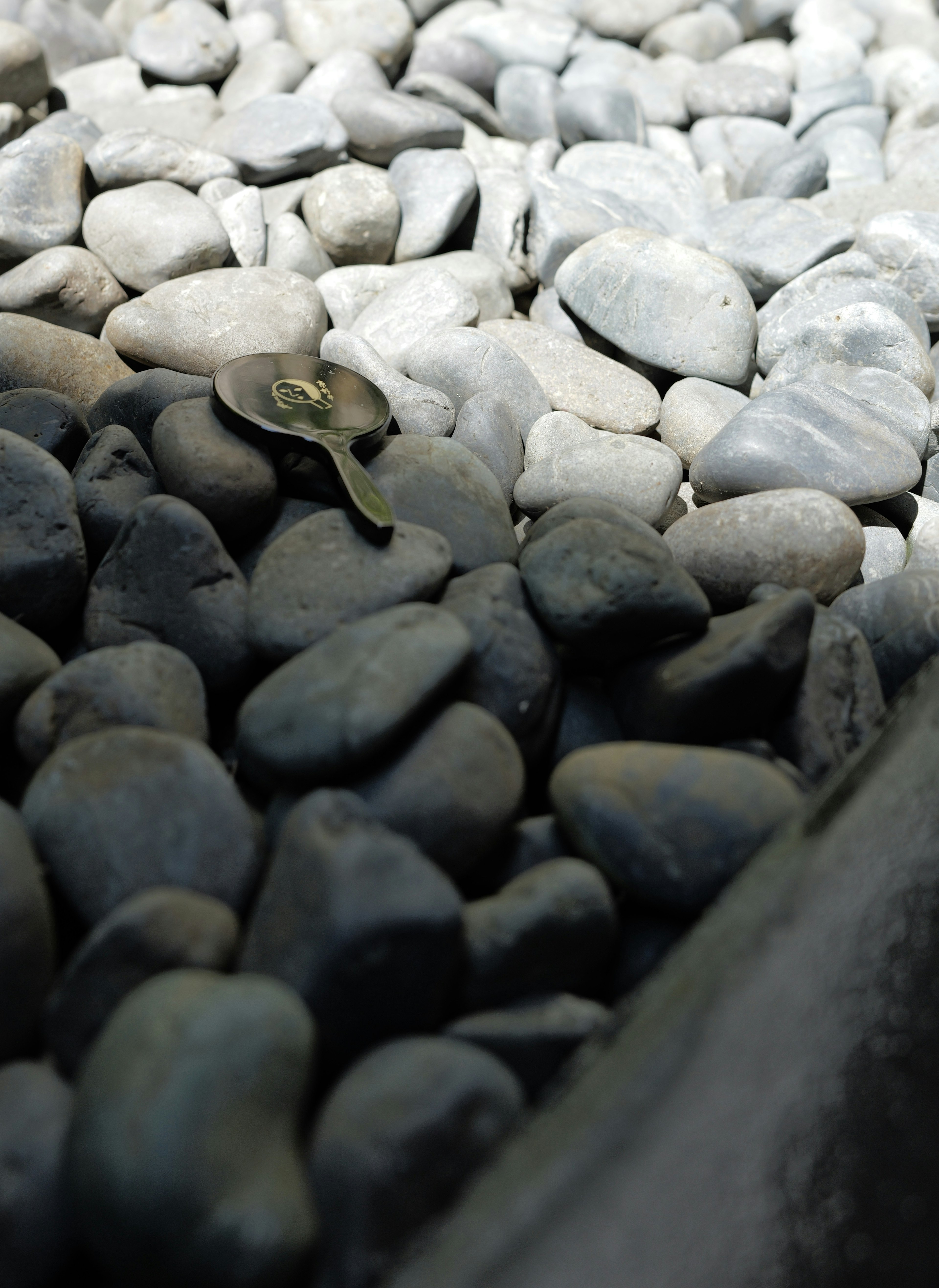 Una mezcla de piedras negras y blancas con una pequeña hoja verde