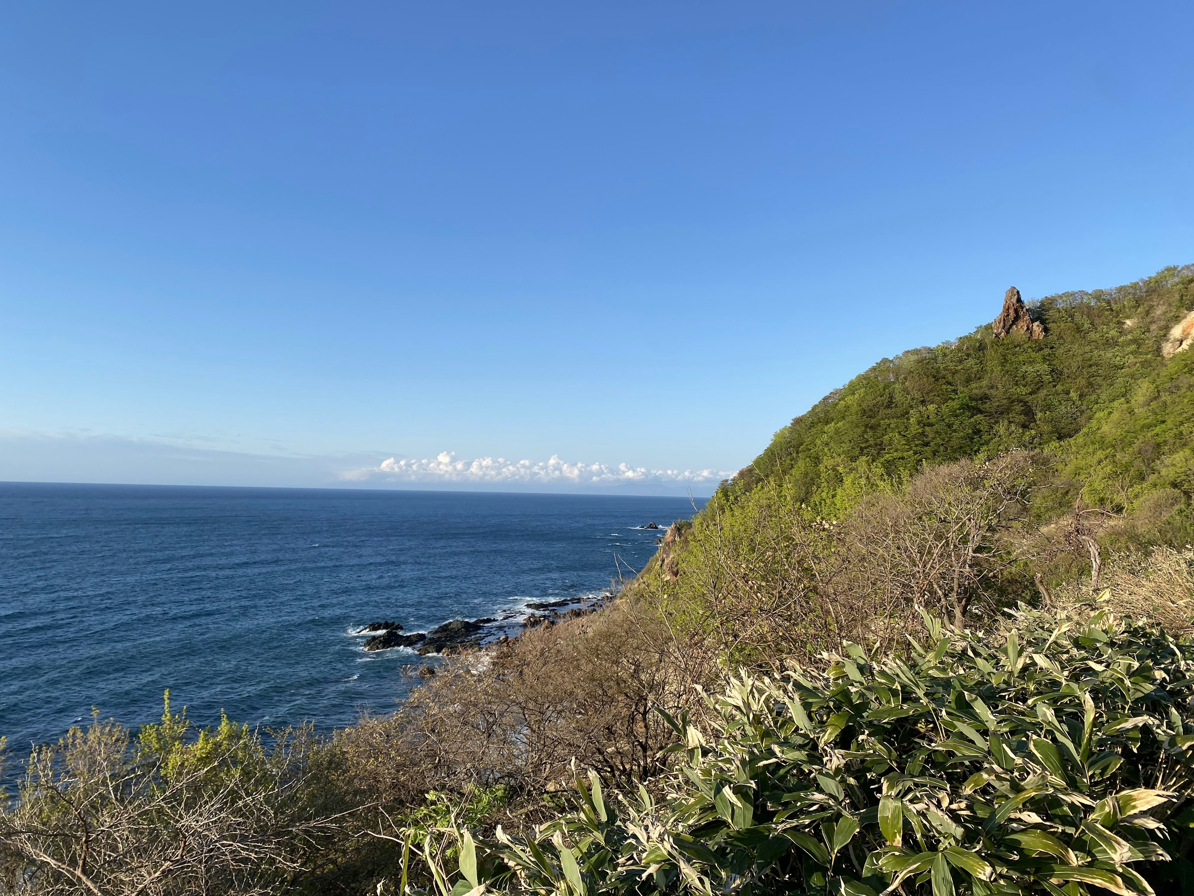 Vista panoramica dell'oceano blu e della collina verde