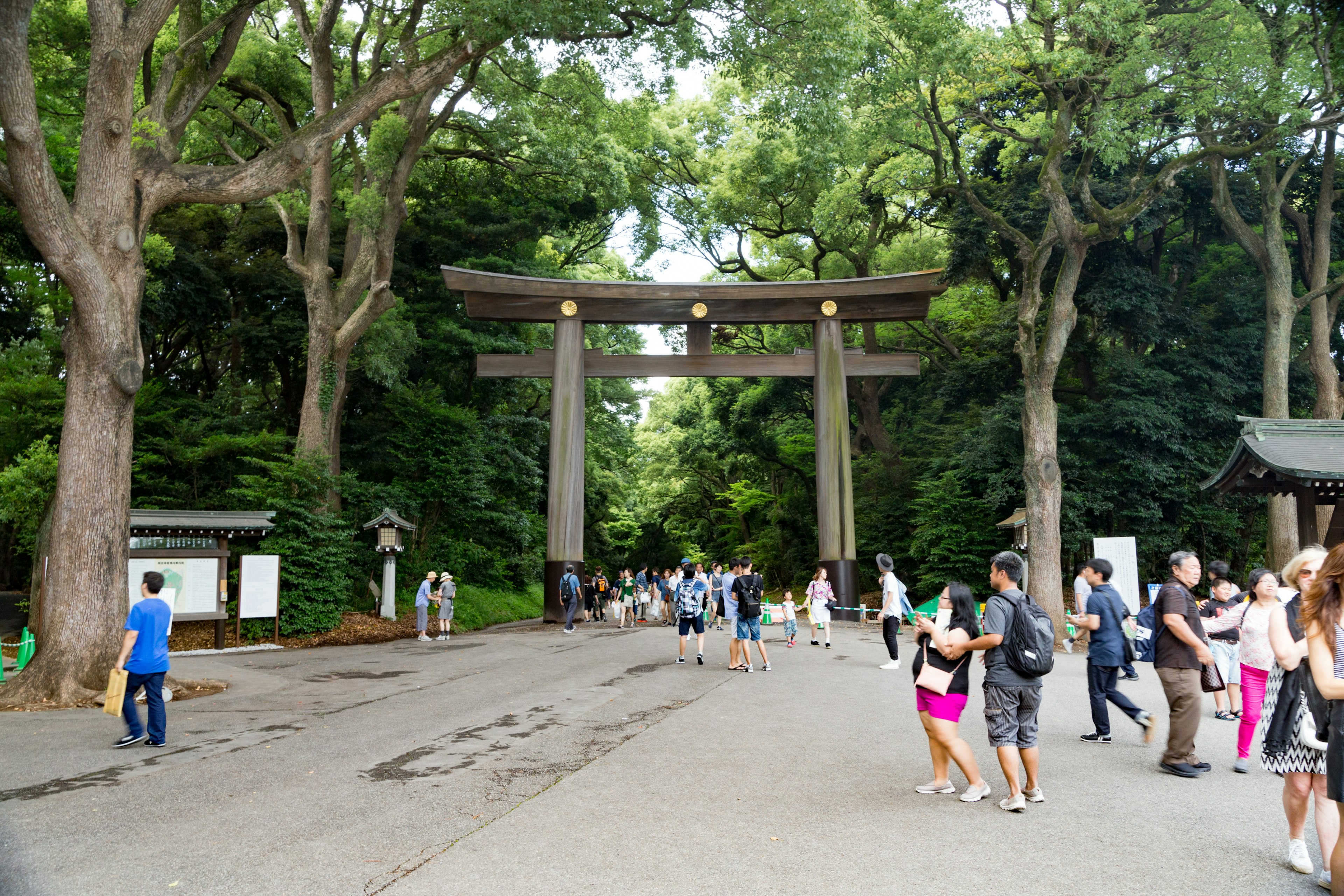 Large torii gate surrounded by lush greenery with many visitors