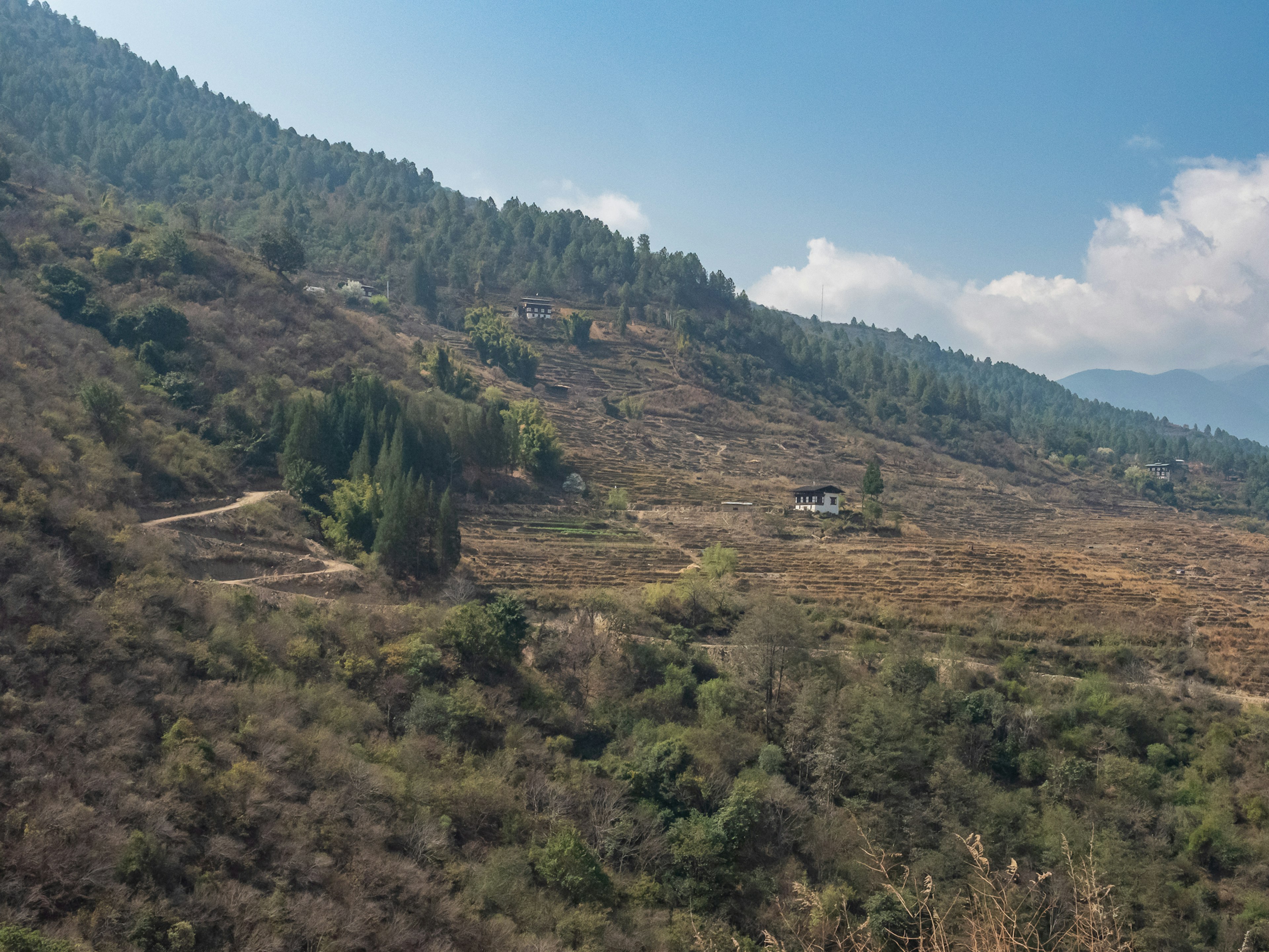 Paesaggio montano con campi verdi e marroni, una piccola casa in lontananza