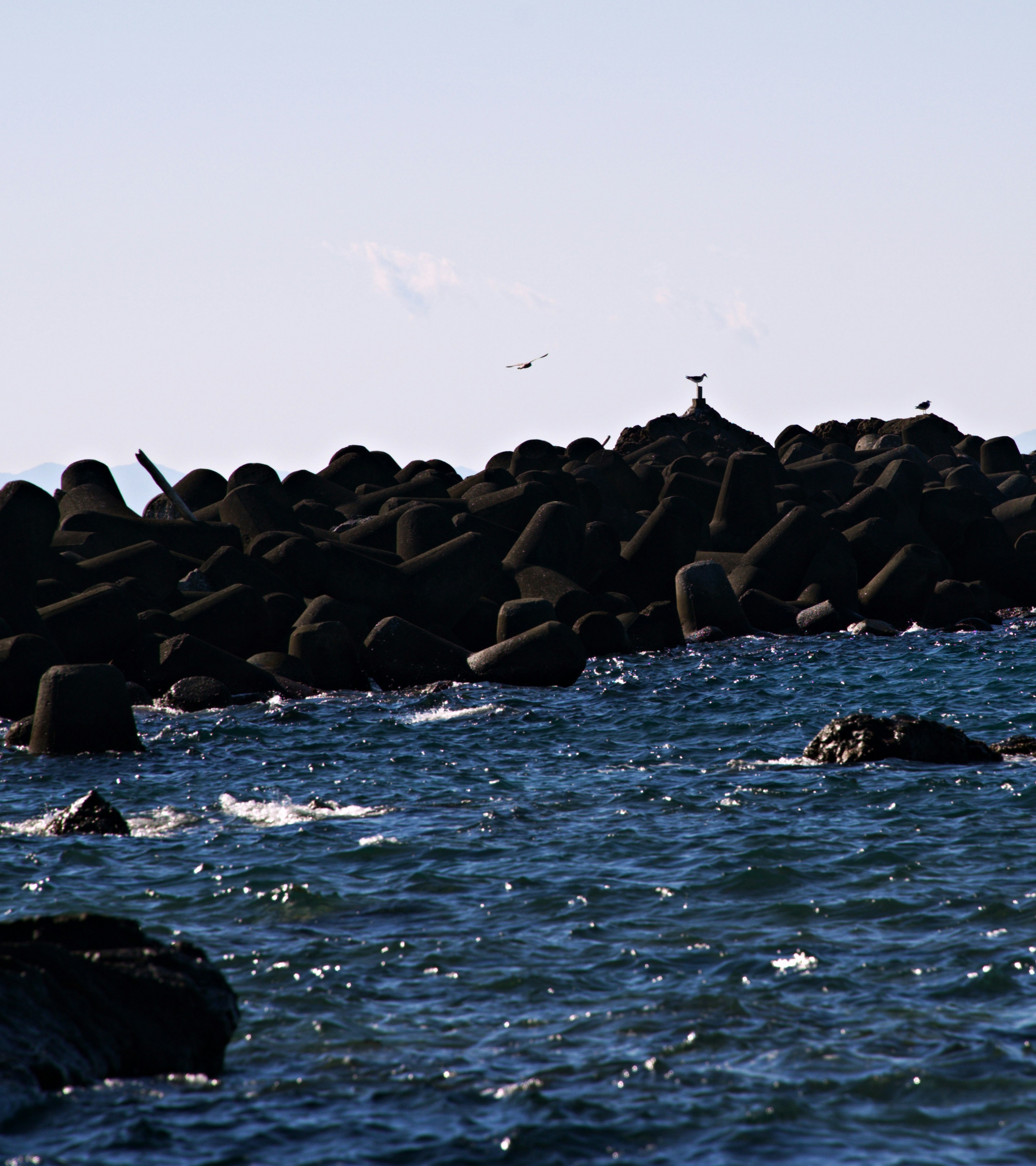 Vagues sur la mer avec une digue en béton en arrière-plan