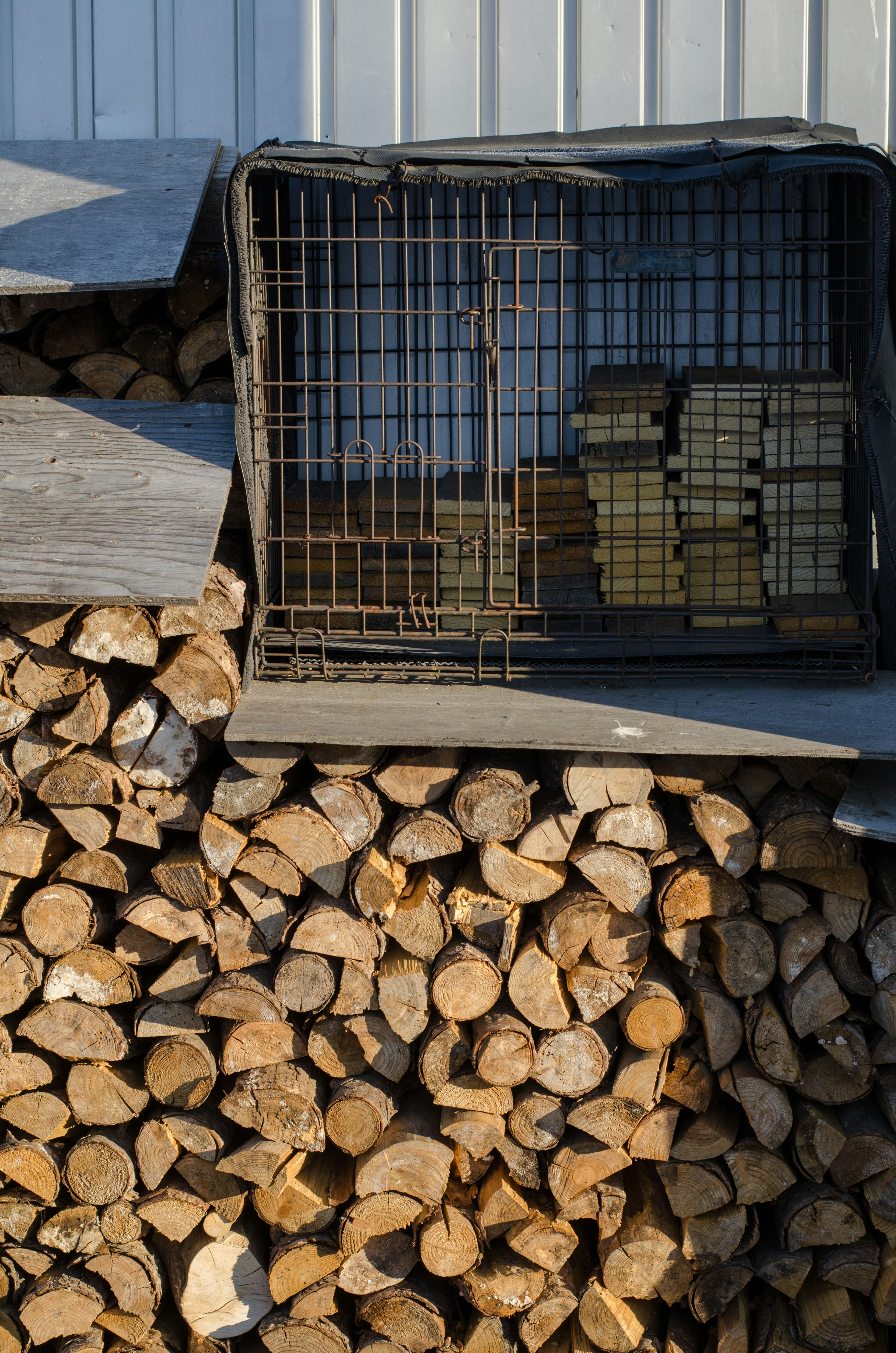 Wire cage placed on a pile of firewood with stacked logs inside