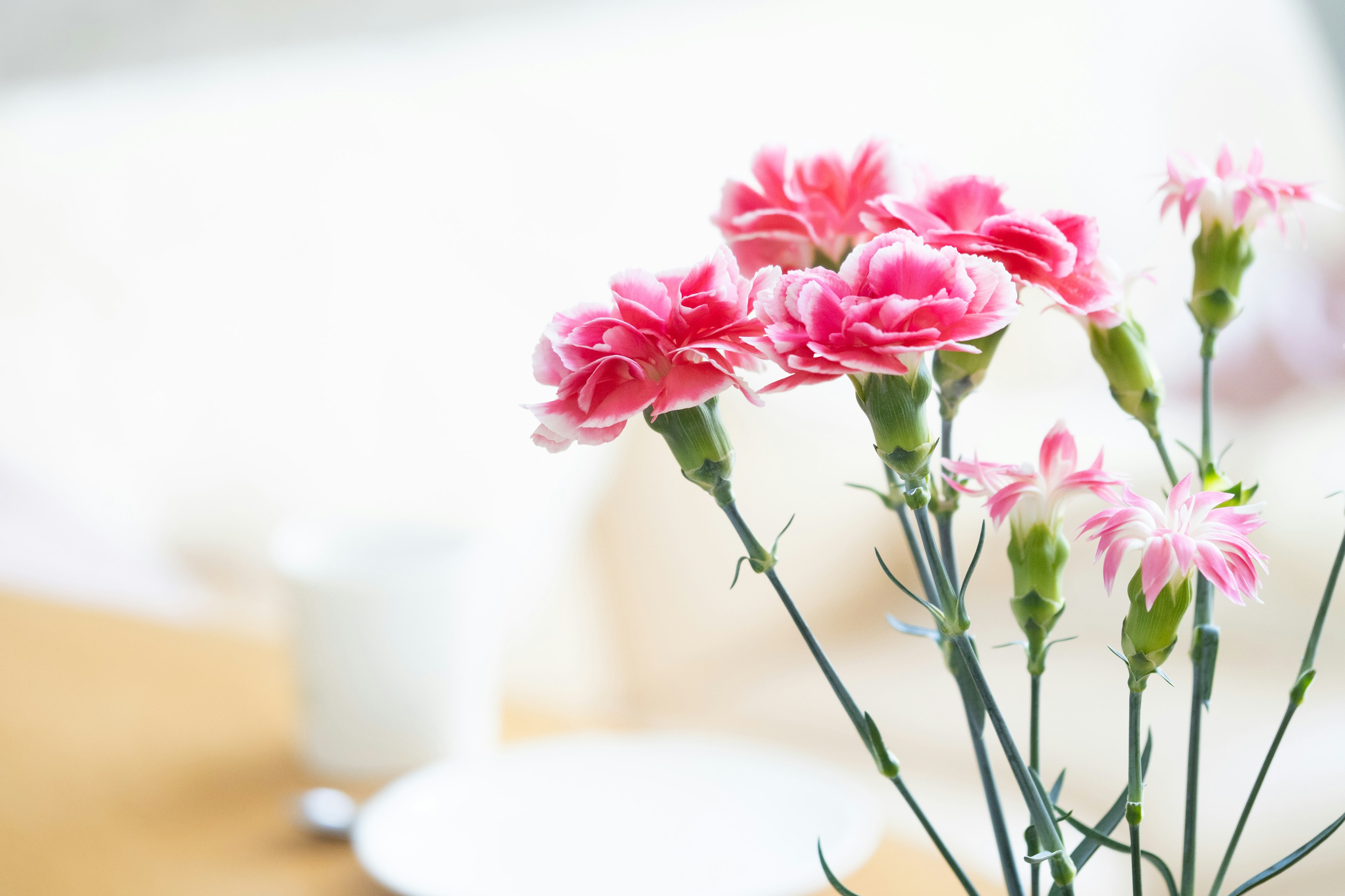 Un bouquet de œillets roses vifs sur une table avec une tasse blanche