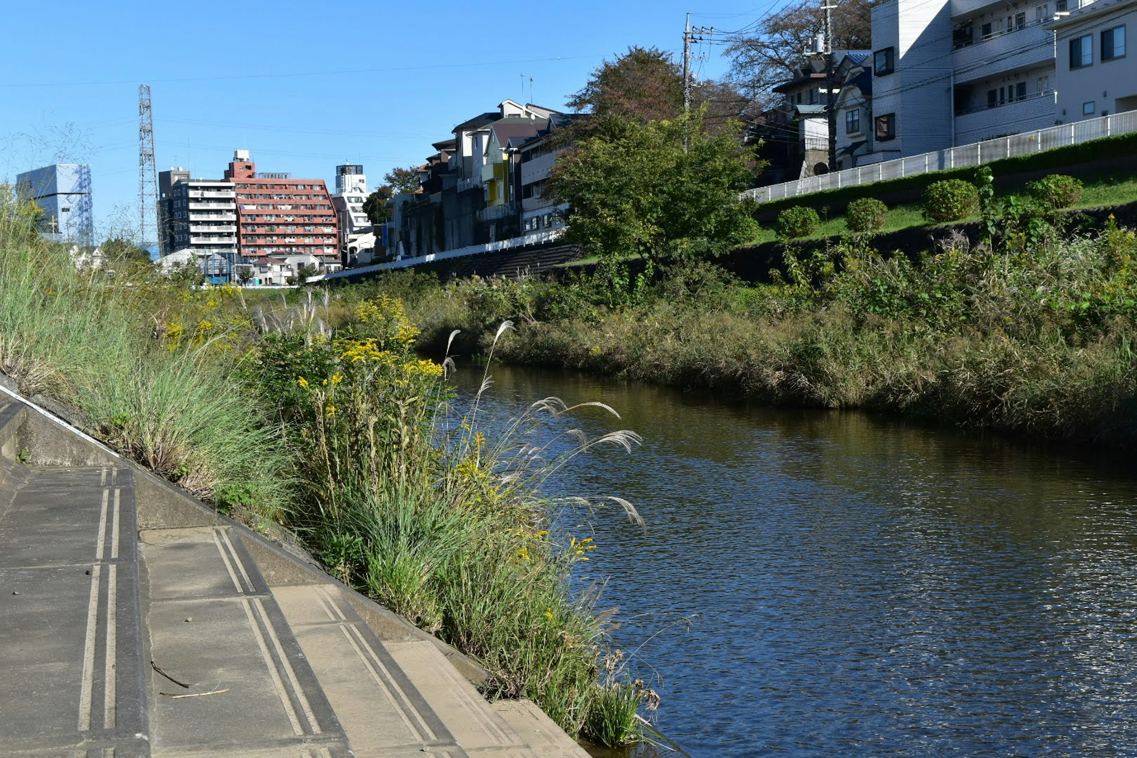 Städtische Landschaft mit Grünflächen entlang eines Flusses und Gebäuden im Hintergrund