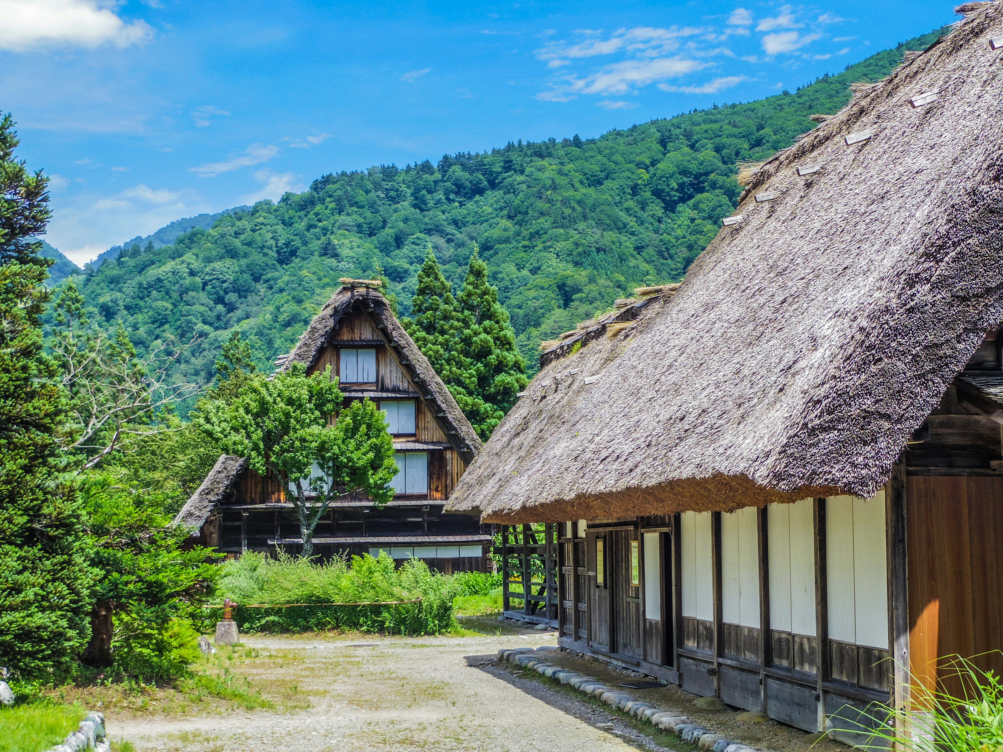 Rumah tradisional Jepang dengan atap jerami dan pemandangan pegunungan yang indah