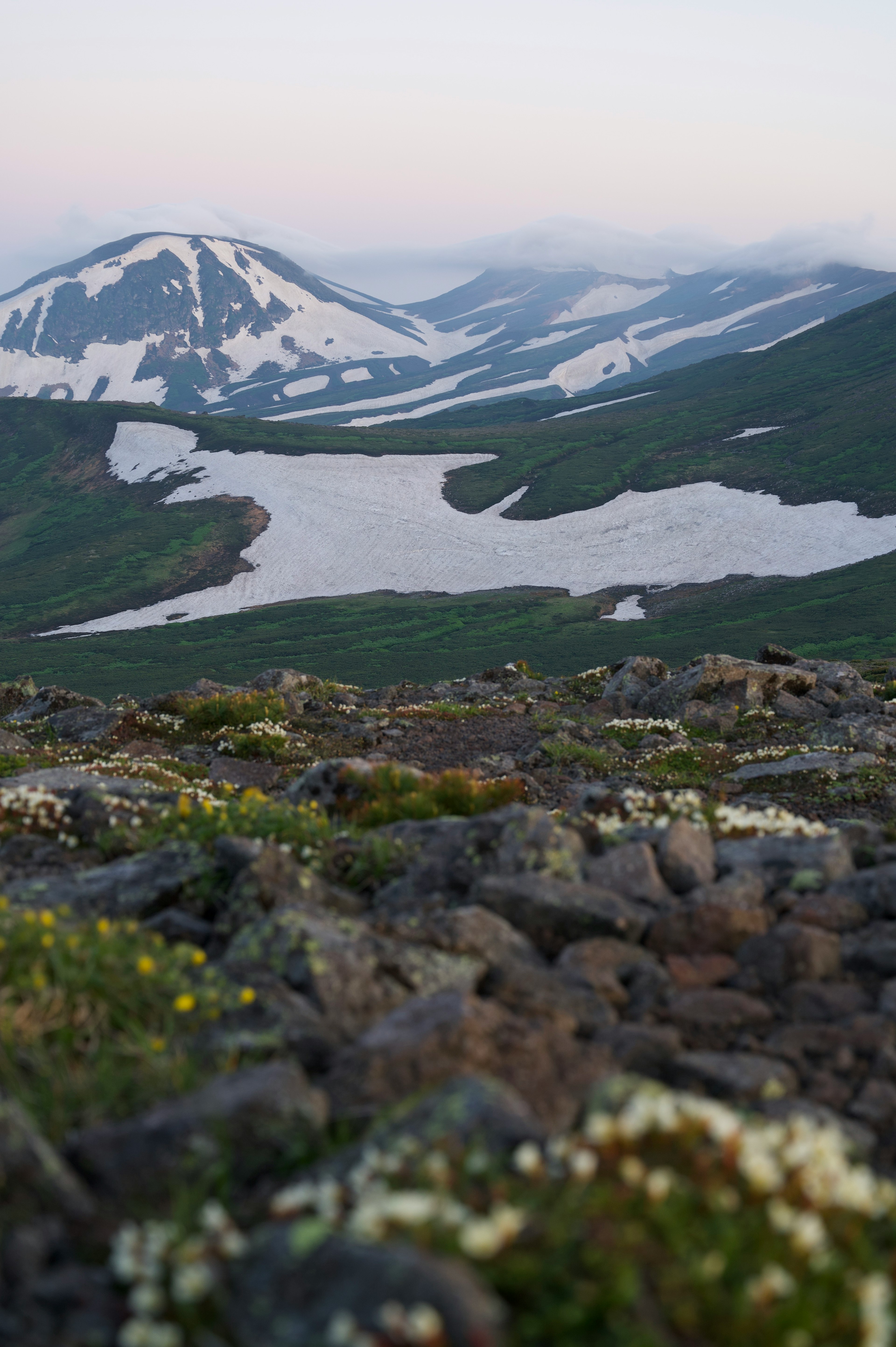 Montagnes pittoresques avec des sommets enneigés et une rivière entourée de verdure luxuriante