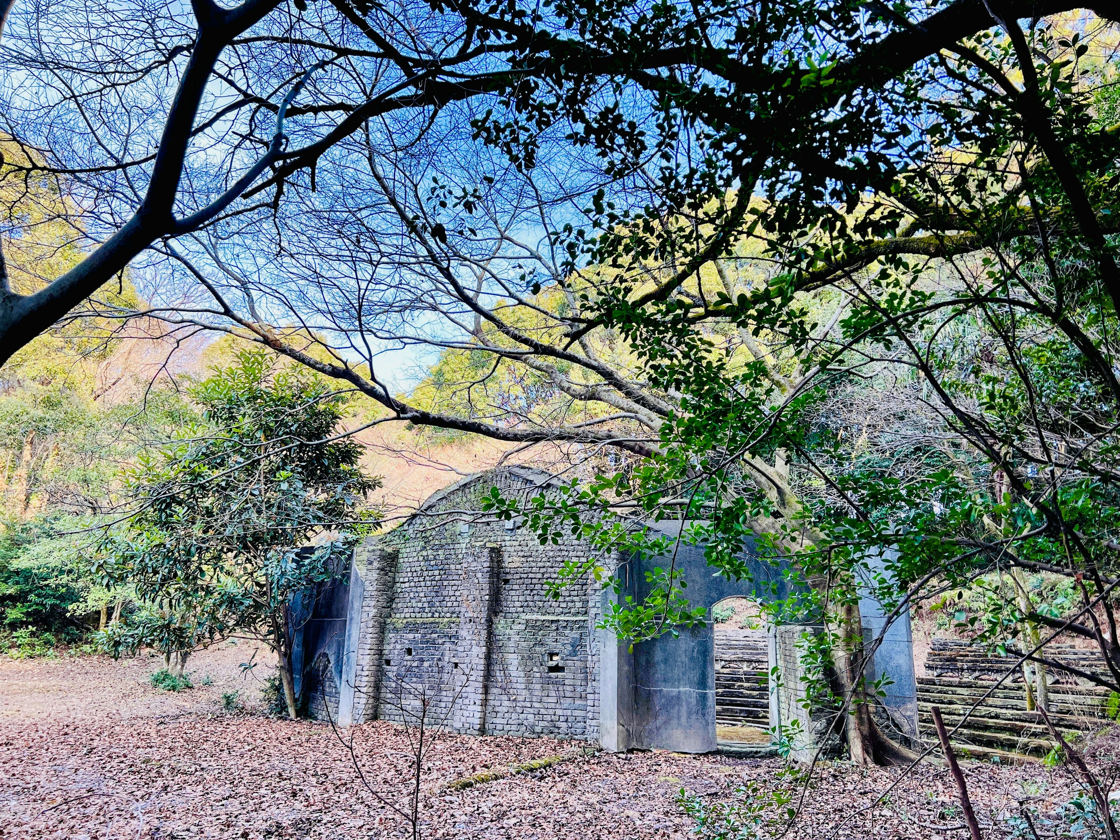 Old stone building in a forest surrounded by greenery