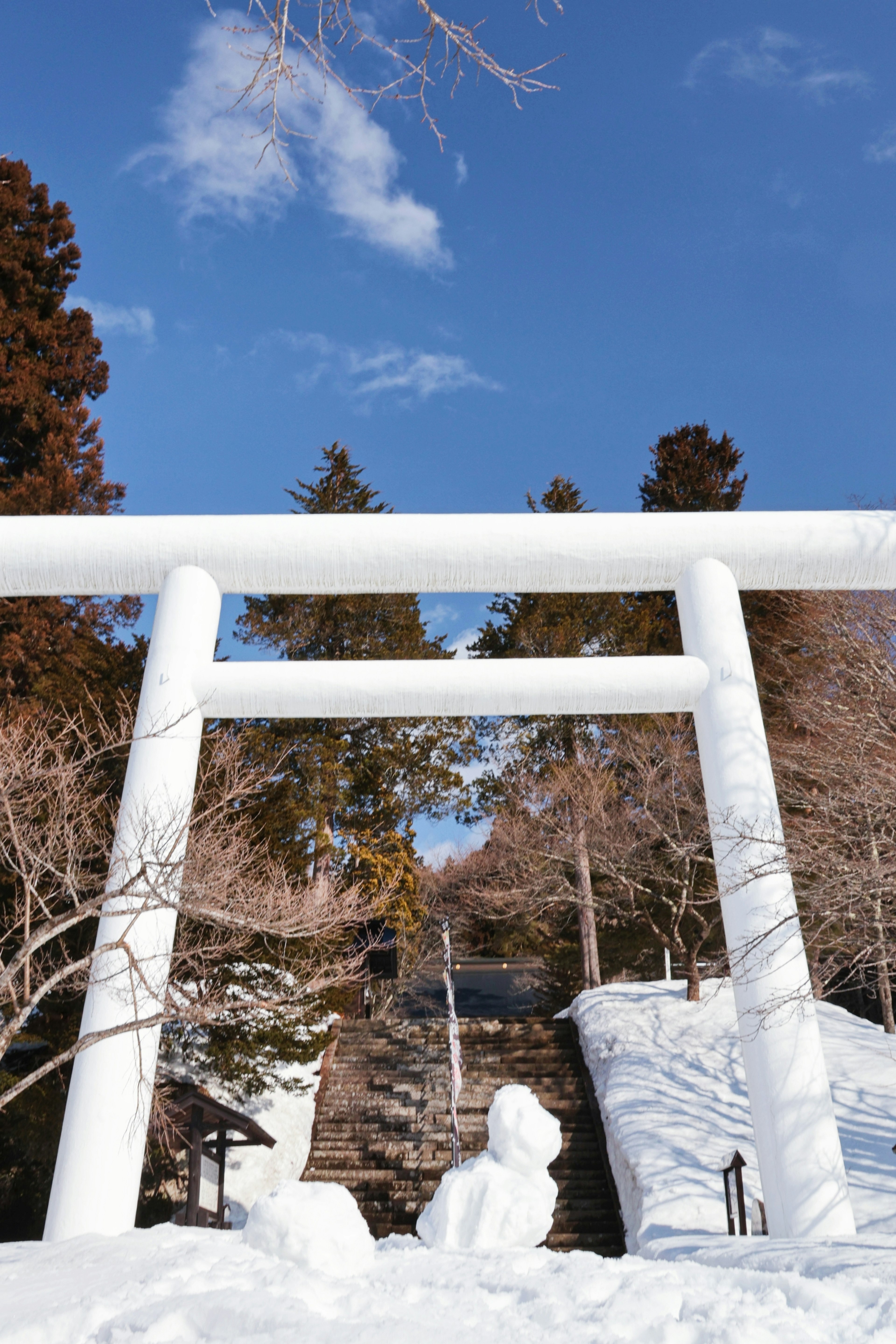 Cổng torii phủ tuyết với cây cối xung quanh