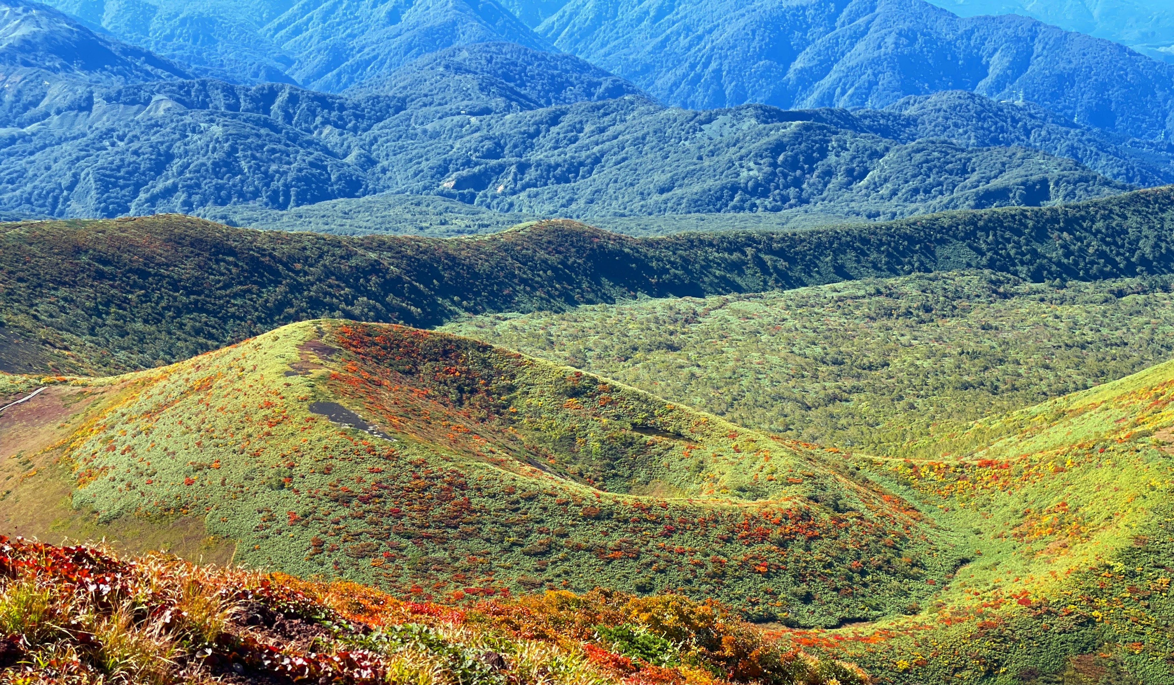 Paysage magnifique avec des montagnes bleues et des prairies colorées