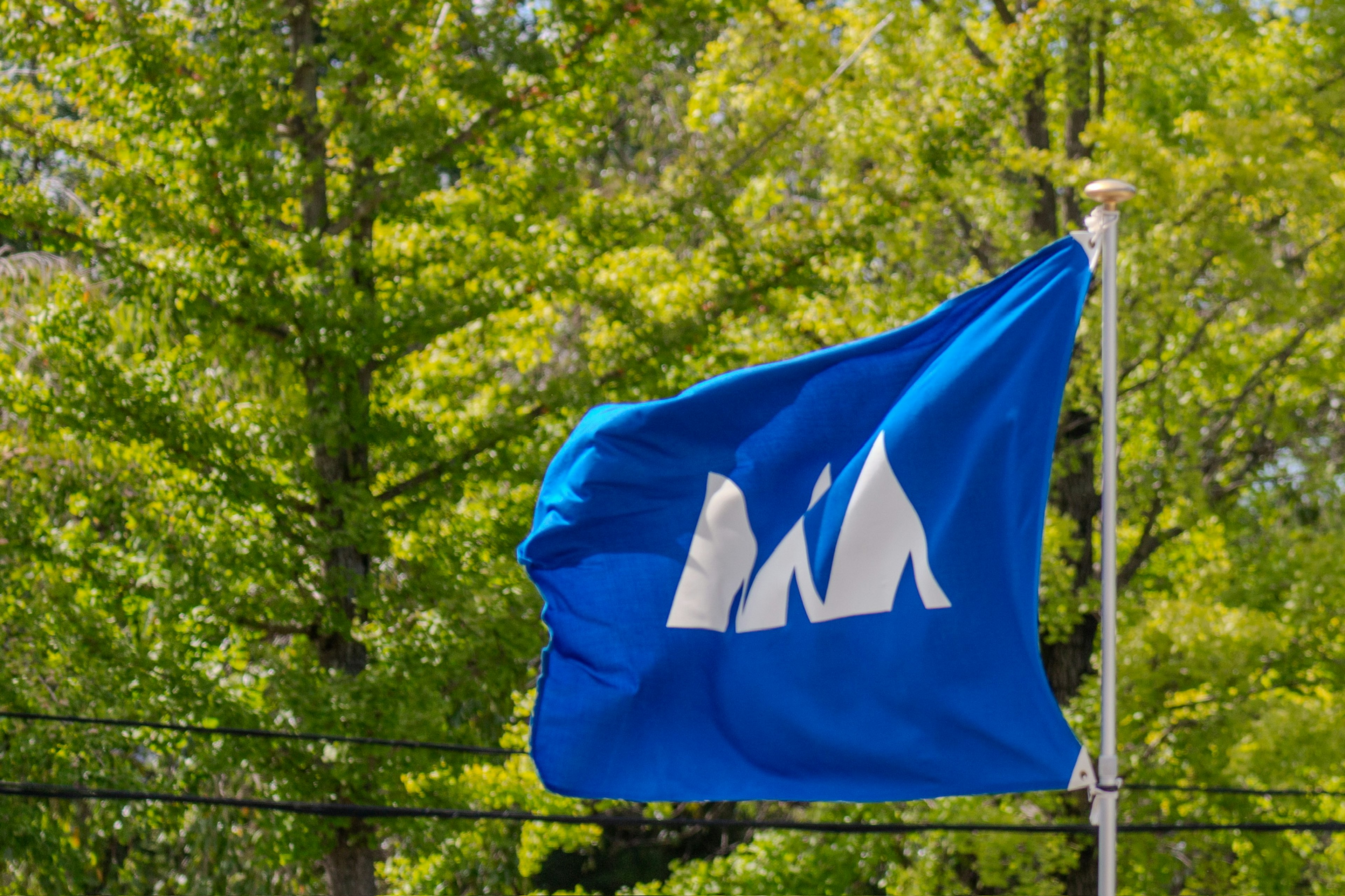 A blue flag with white mountain symbols against a backdrop of green trees