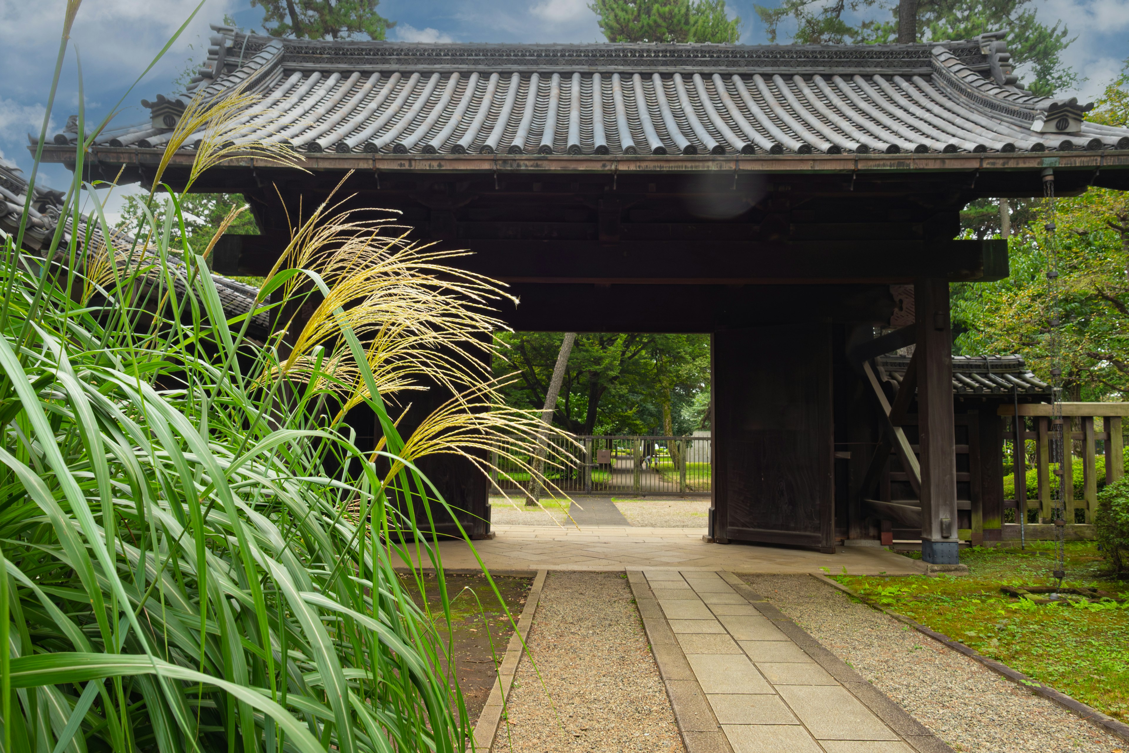 緑豊かな庭園の中にある伝統的な日本の門と草