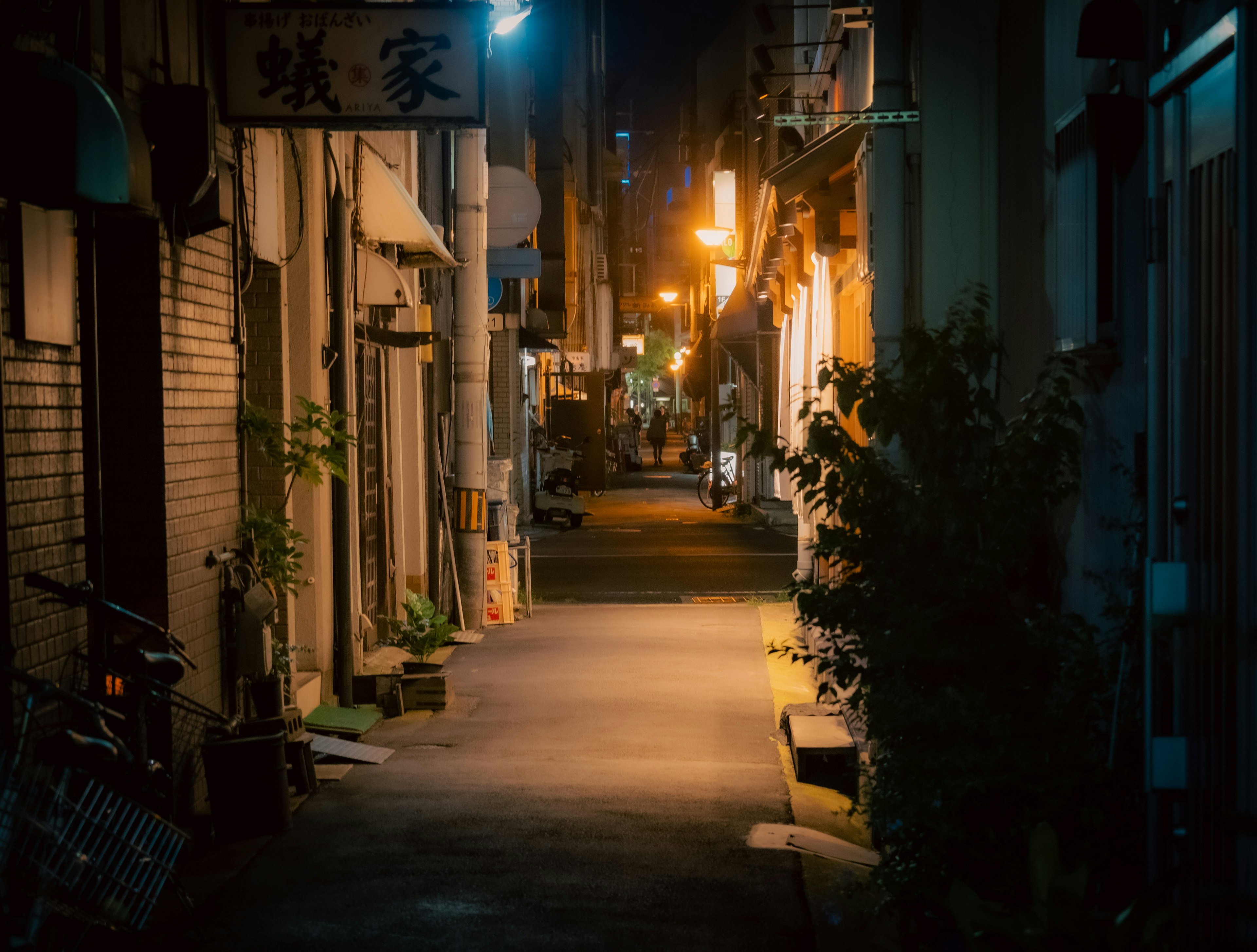 暗い路地に沿った街灯が灯る静かな通り