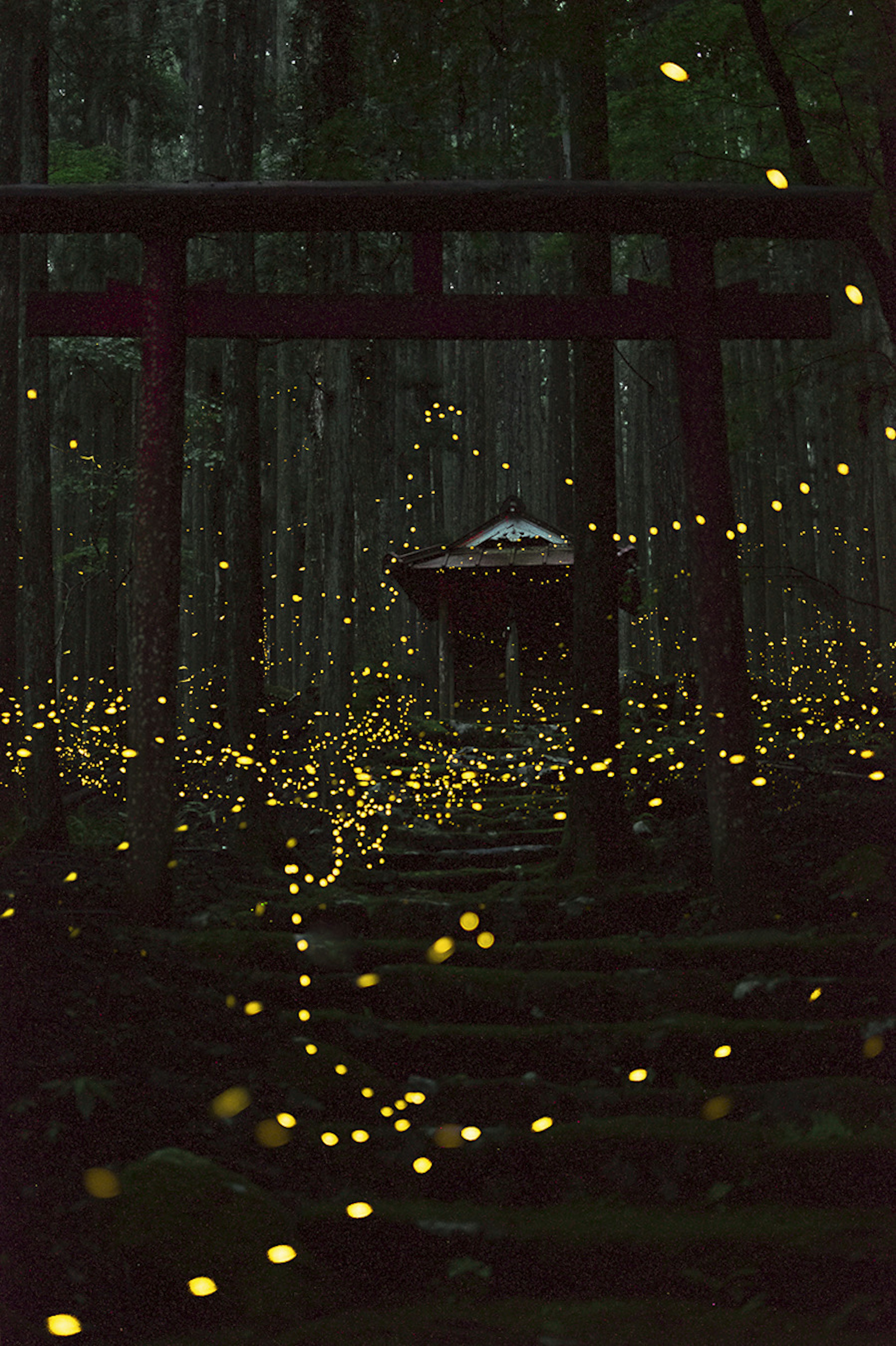 Una scena mistica di lucciole luminose e un torii in una foresta