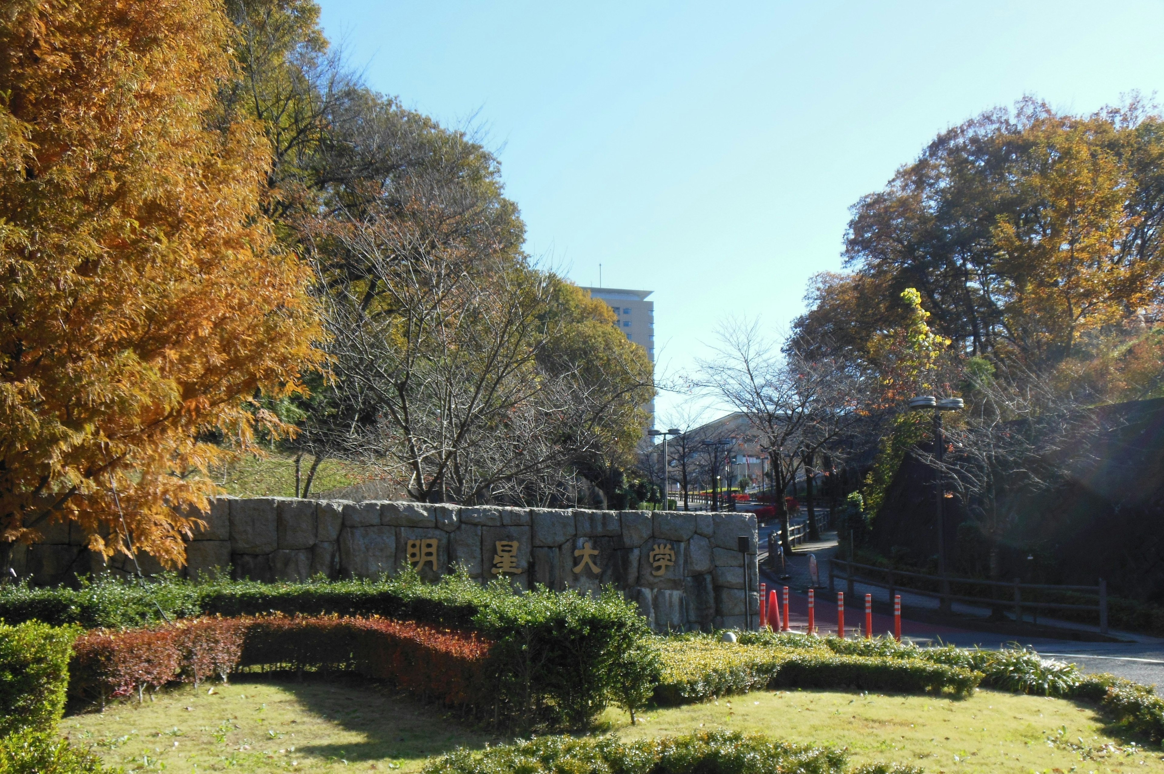 Escenario de parque otoñal con árboles coloridos y cielo azul con muros de piedra