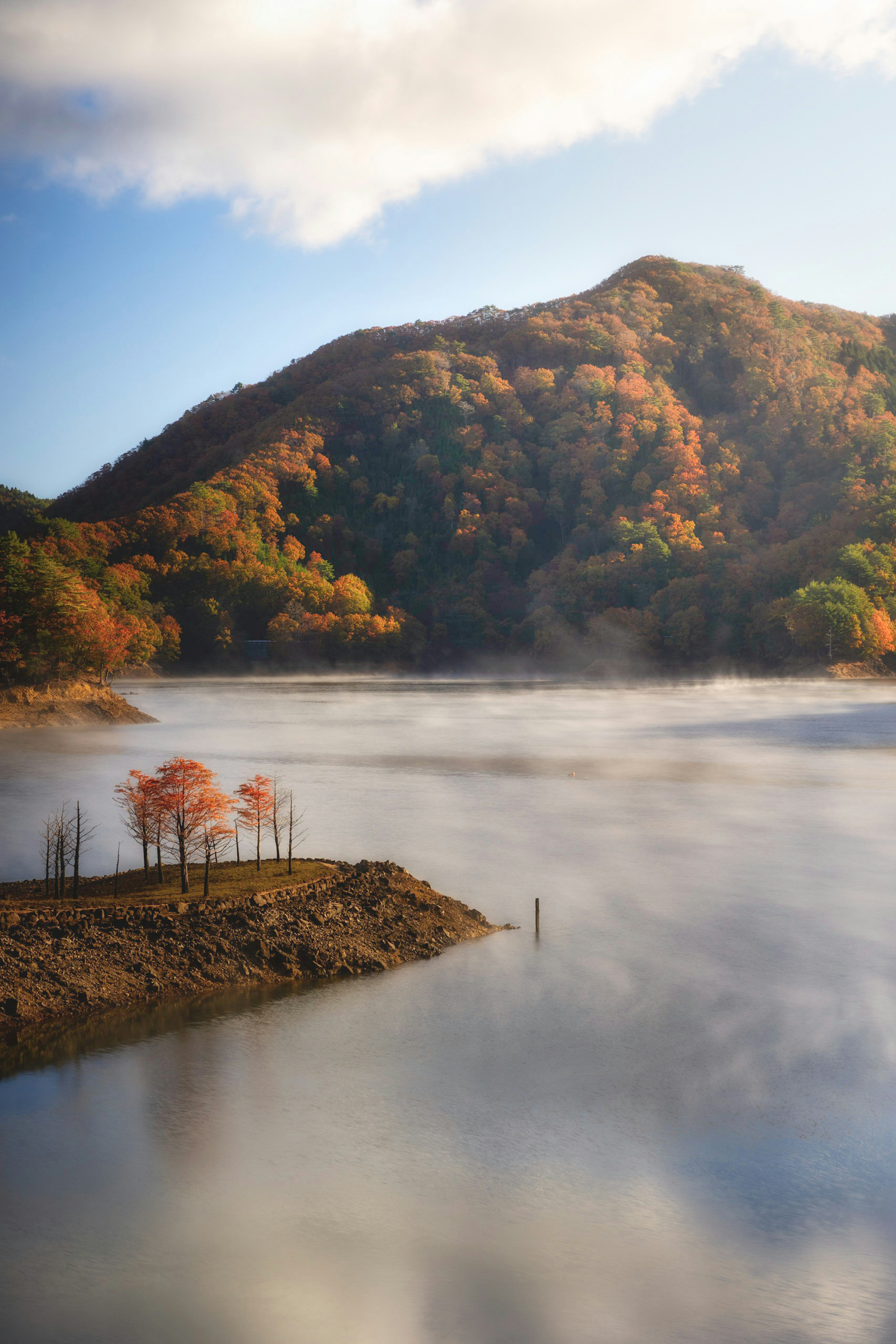 美しい湖と霧に包まれた秋の山の風景