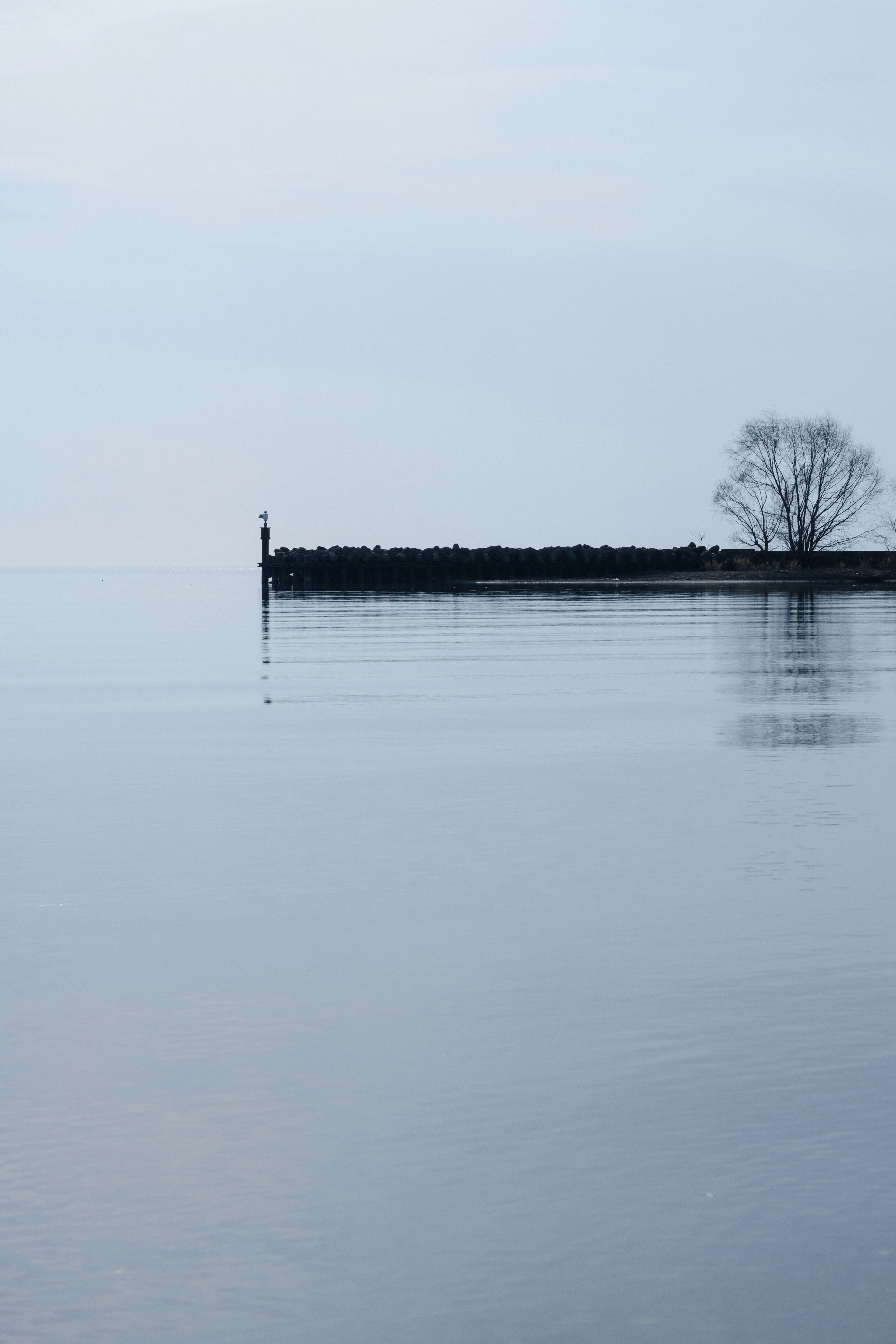 Surface d'eau calme réfléchissant un quai et la silhouette d'un arbre