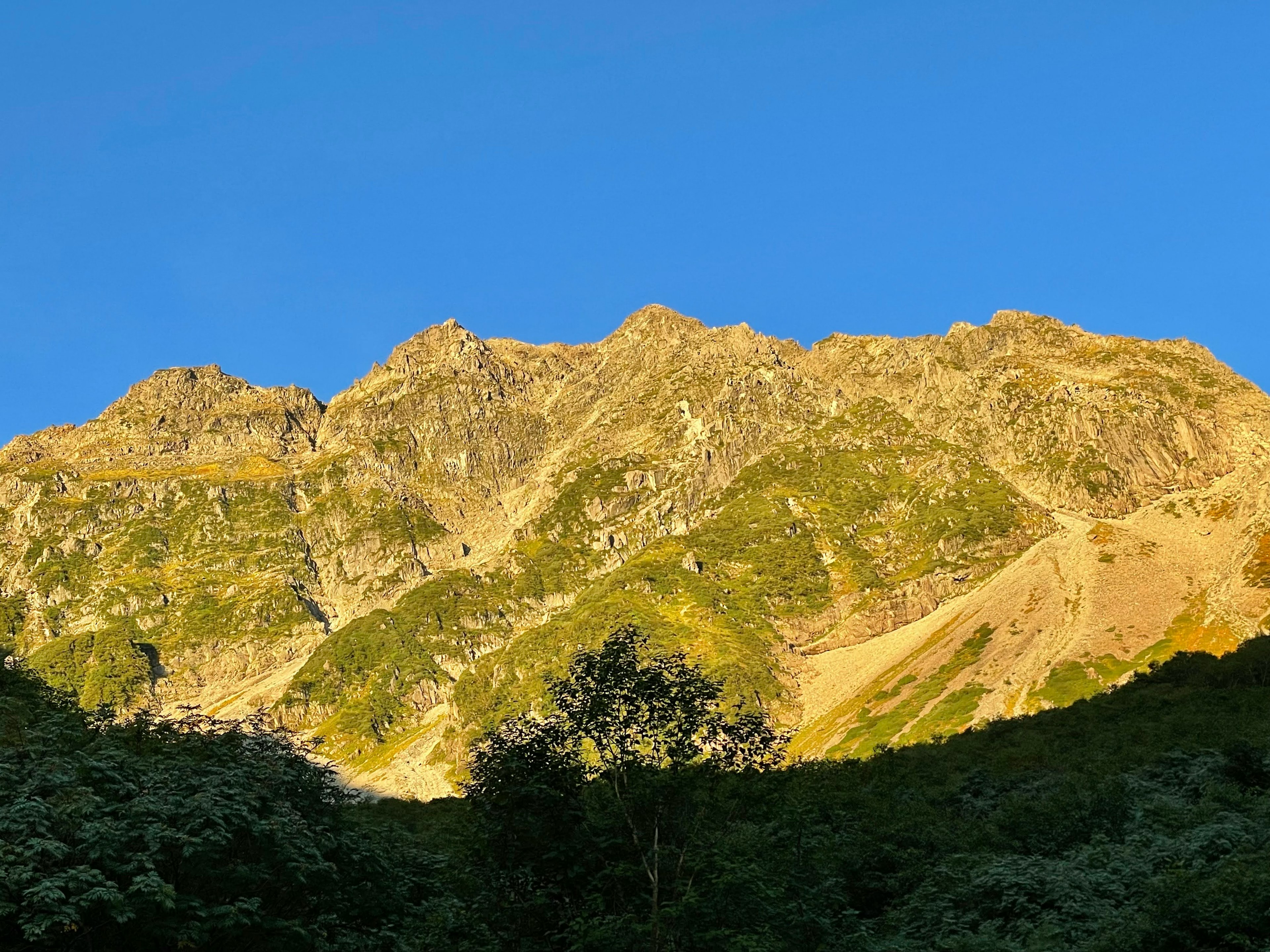 青空の下に輝く山々の風景 緑の木々とコントラストを成す