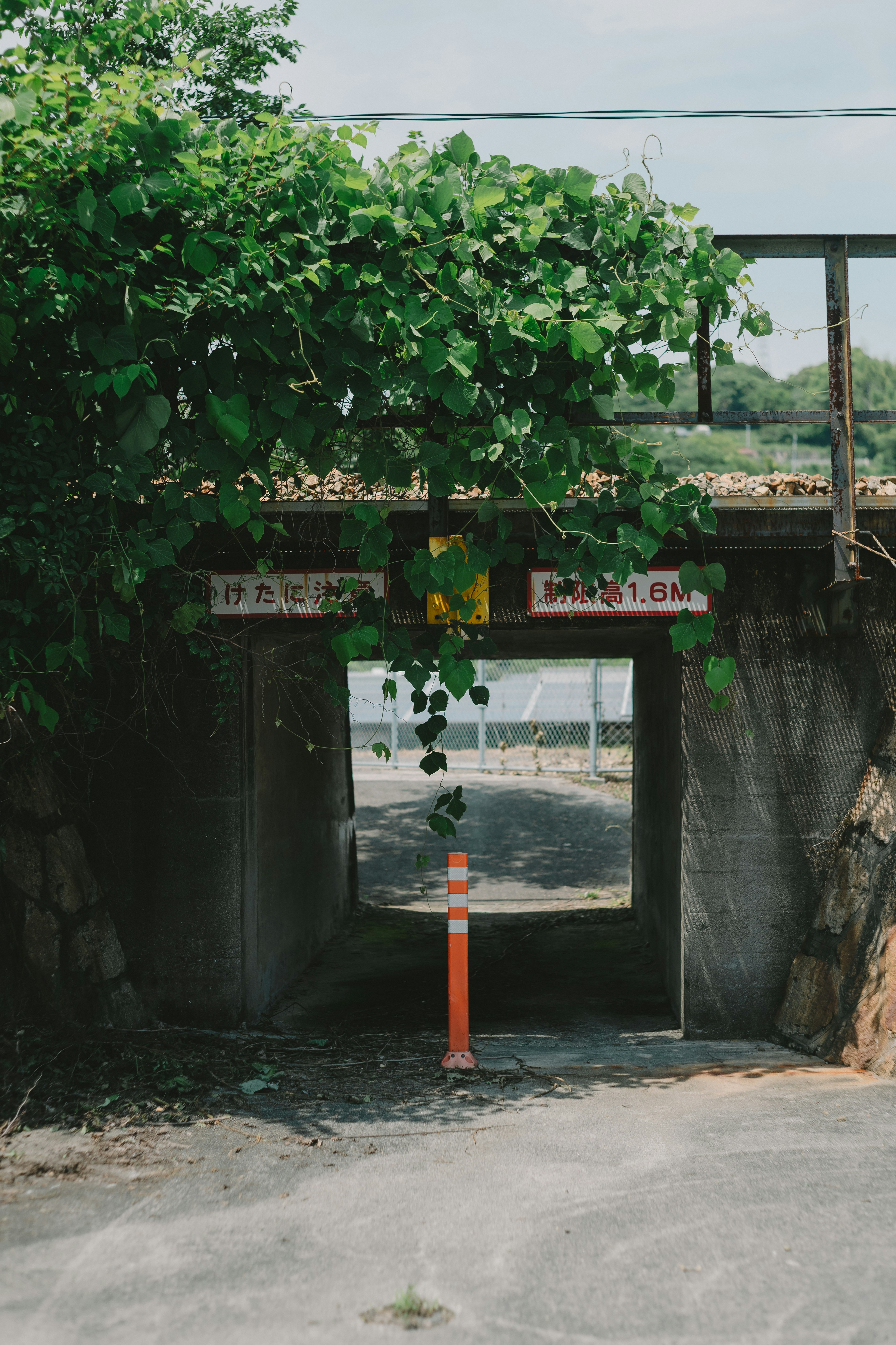 Tunnel entrance covered with green leaves and a red pole