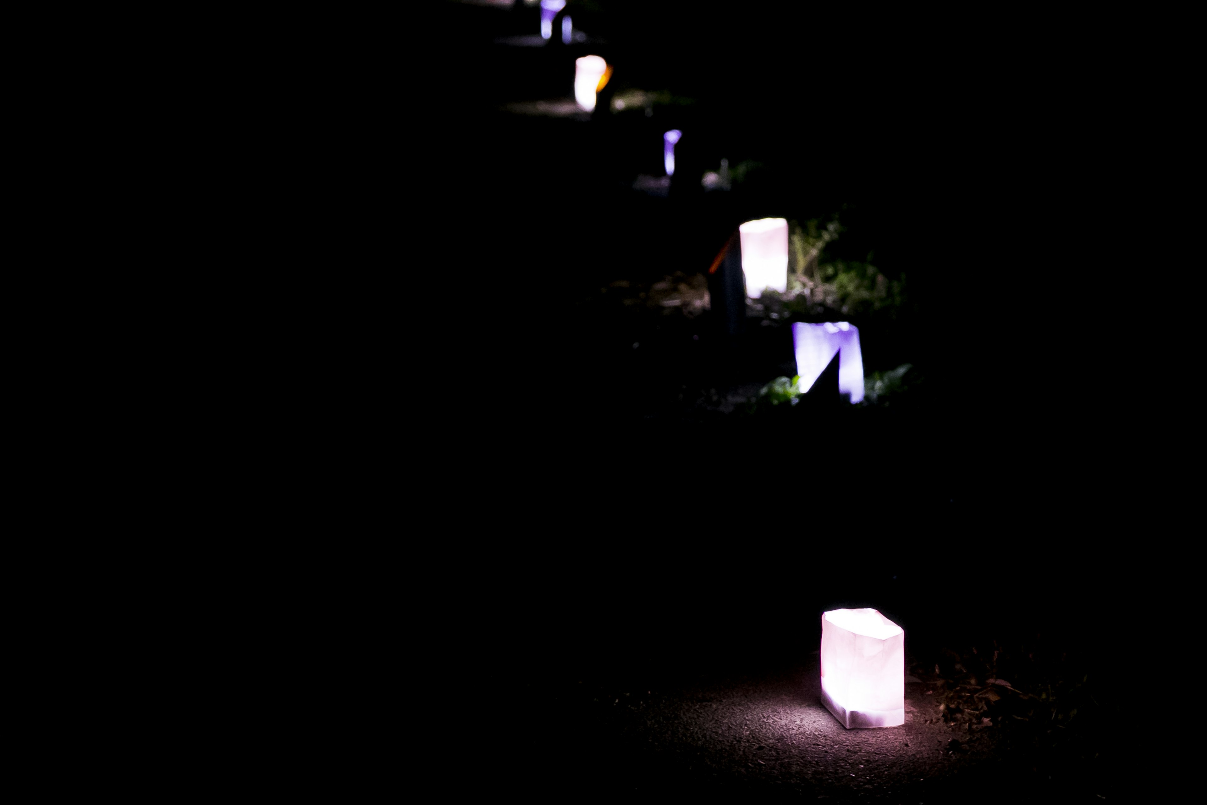 Des lanternes illuminées bordent un chemin sombre créant une atmosphère sereine