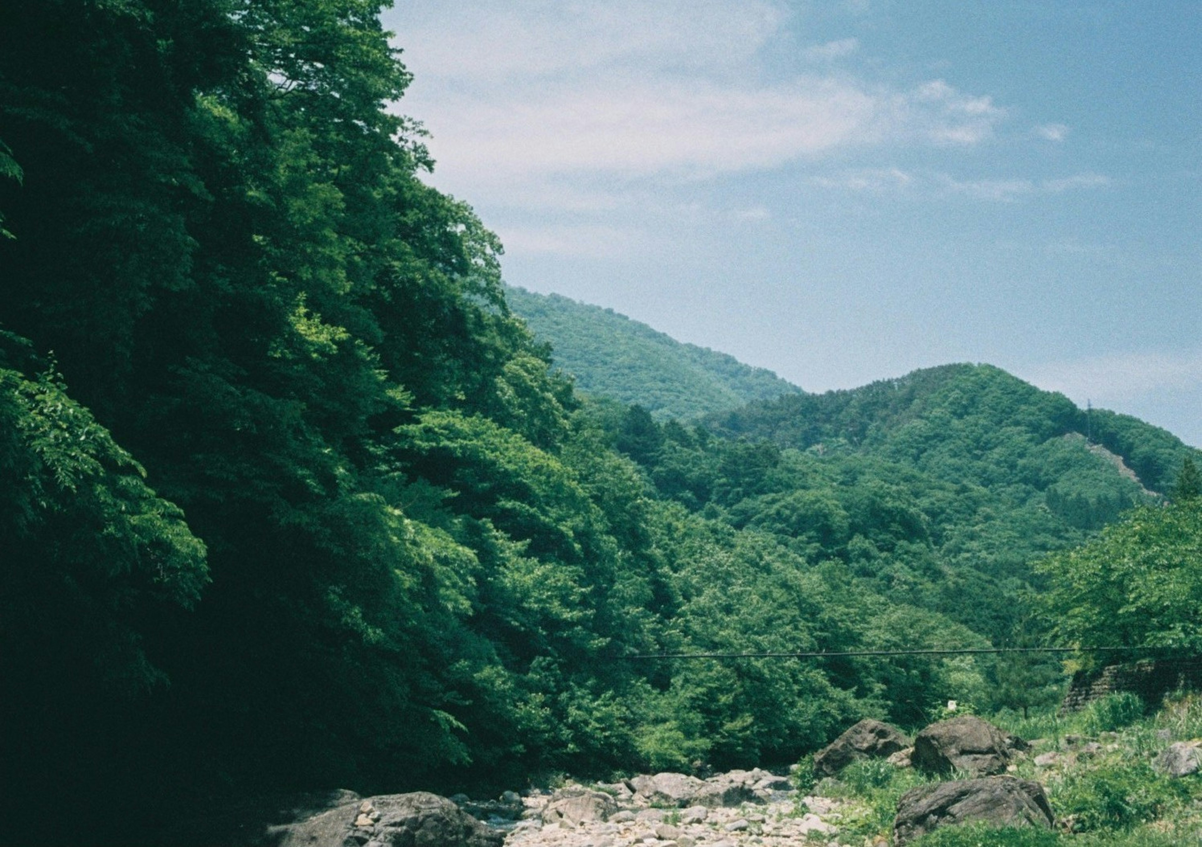 緑豊かな山々と青空の風景