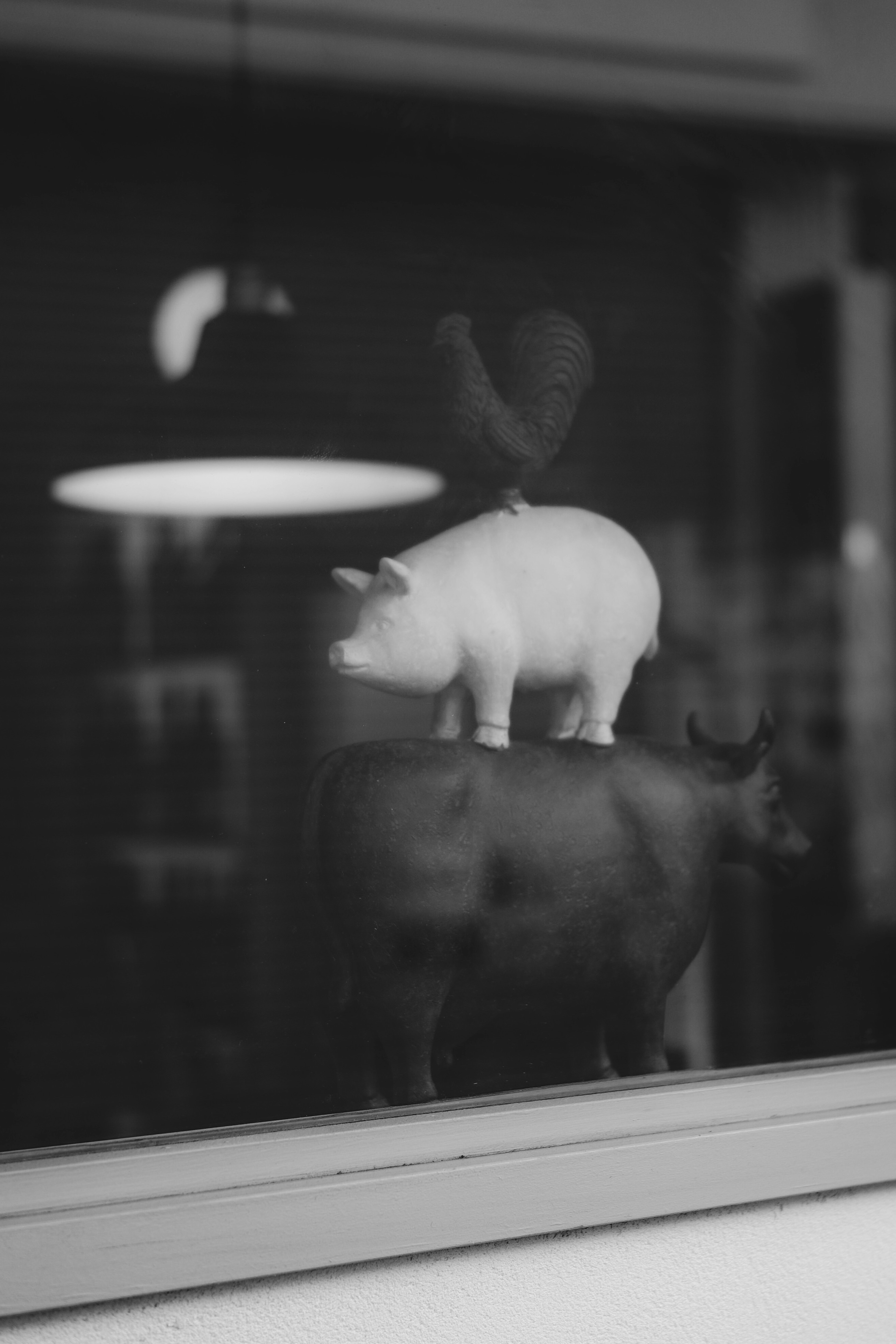 Un objet unique avec un cochon blanc debout sur une vache noire