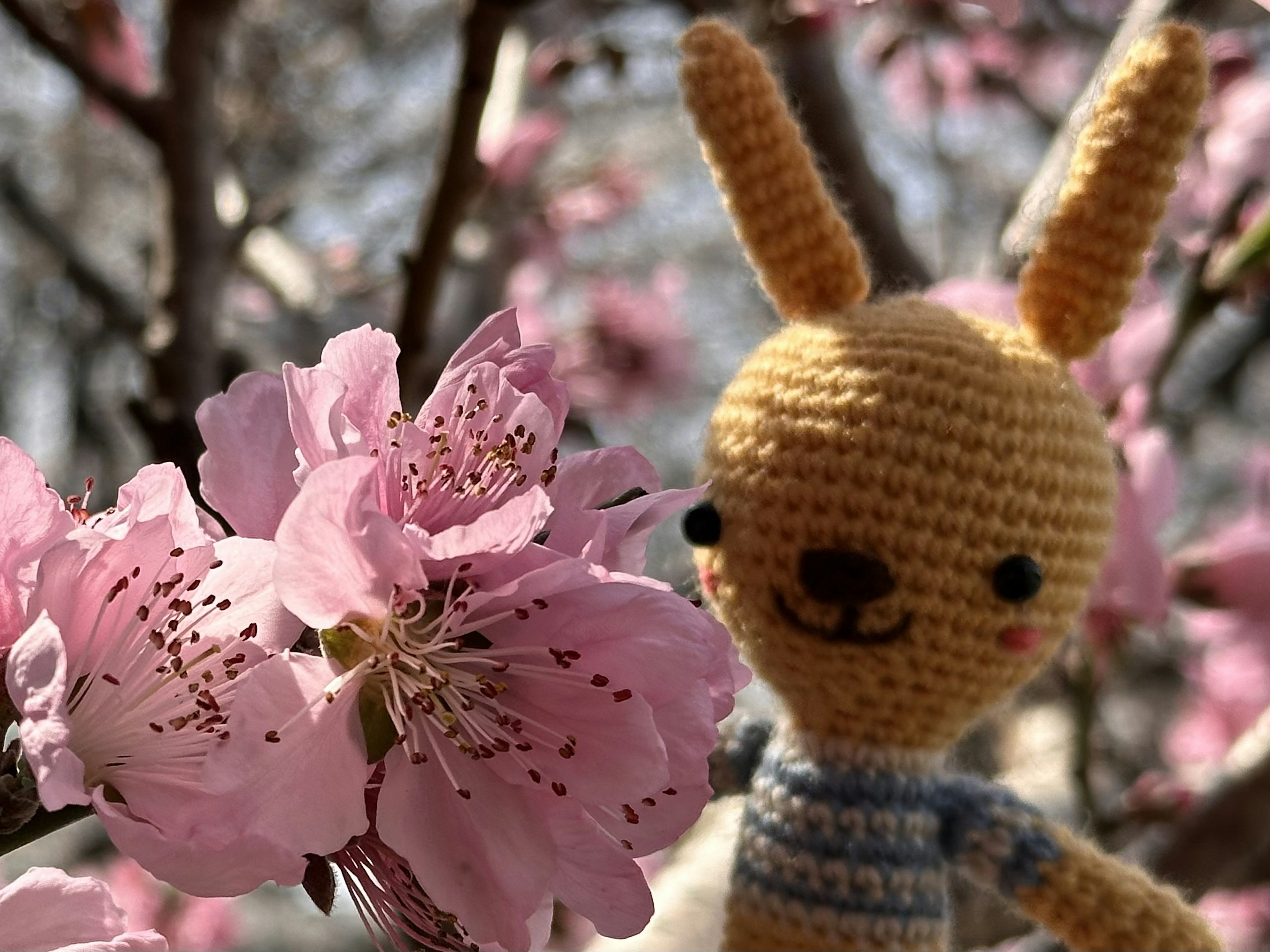 ピンクの花の近くに立つ編みぐるみのウサギのぬいぐるみ