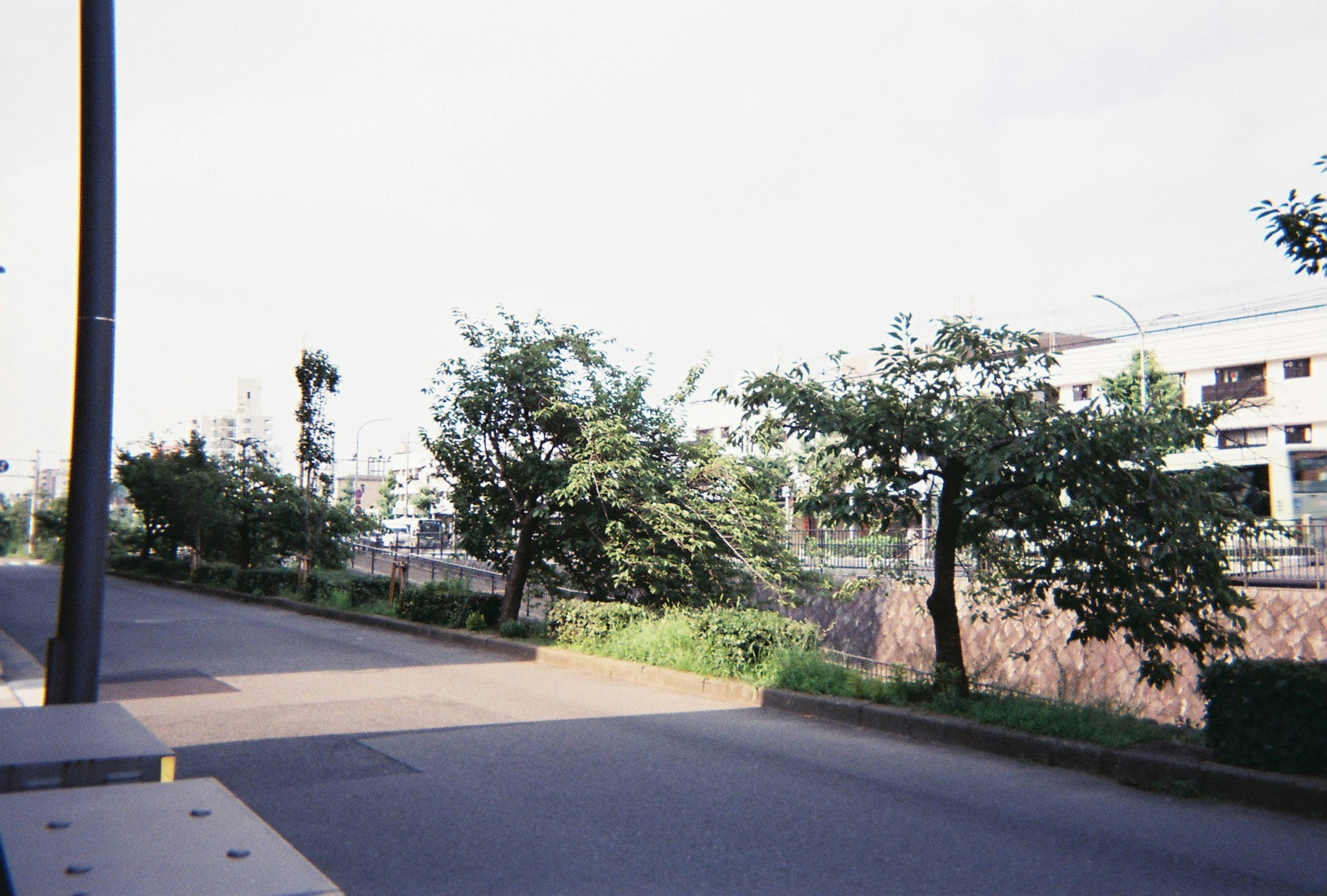 Vista de la calle con árboles y edificios