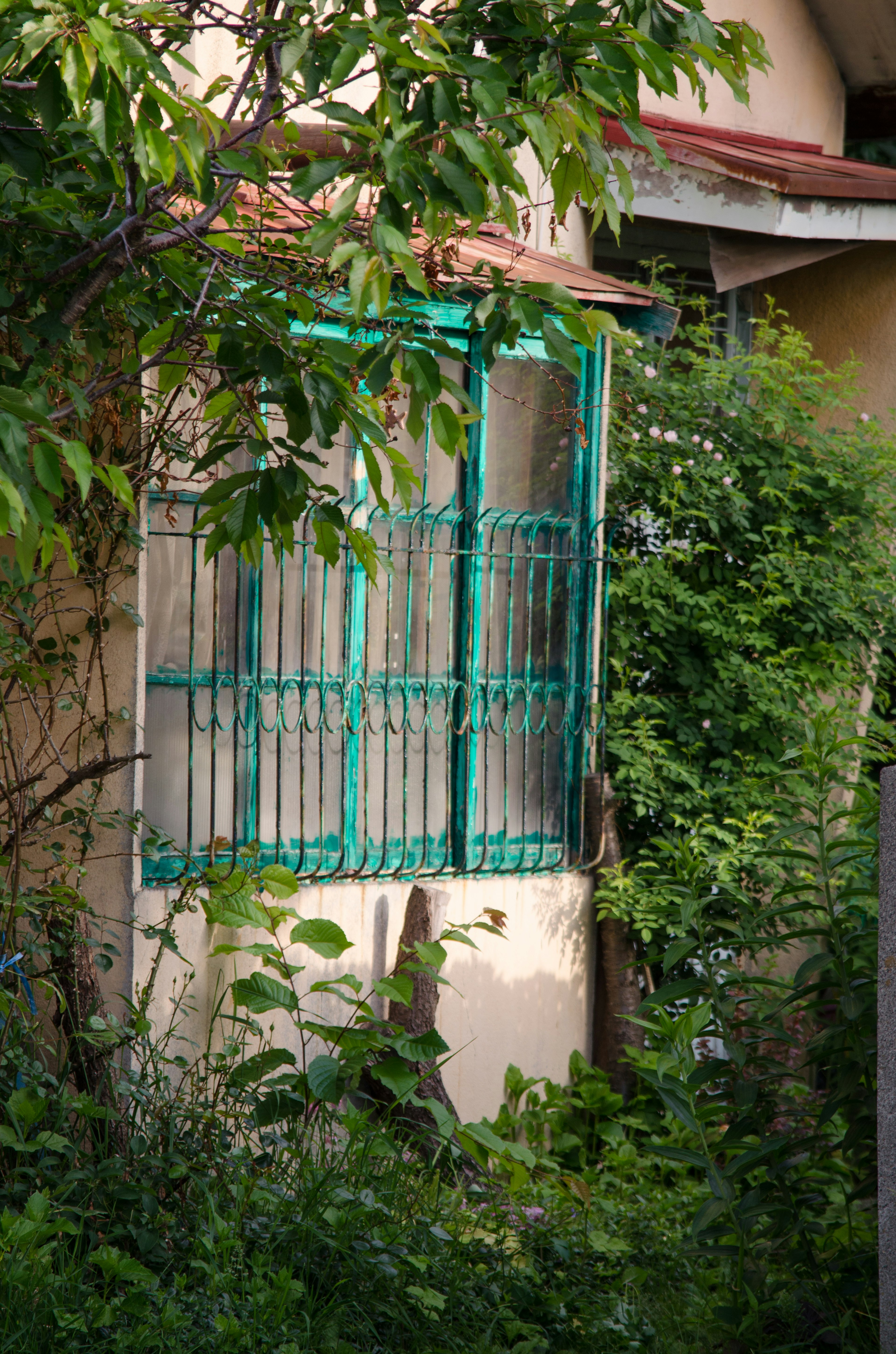 Ein kleiner Teil eines Hauses umgeben von Grün mit einem grünen Fensterrahmen