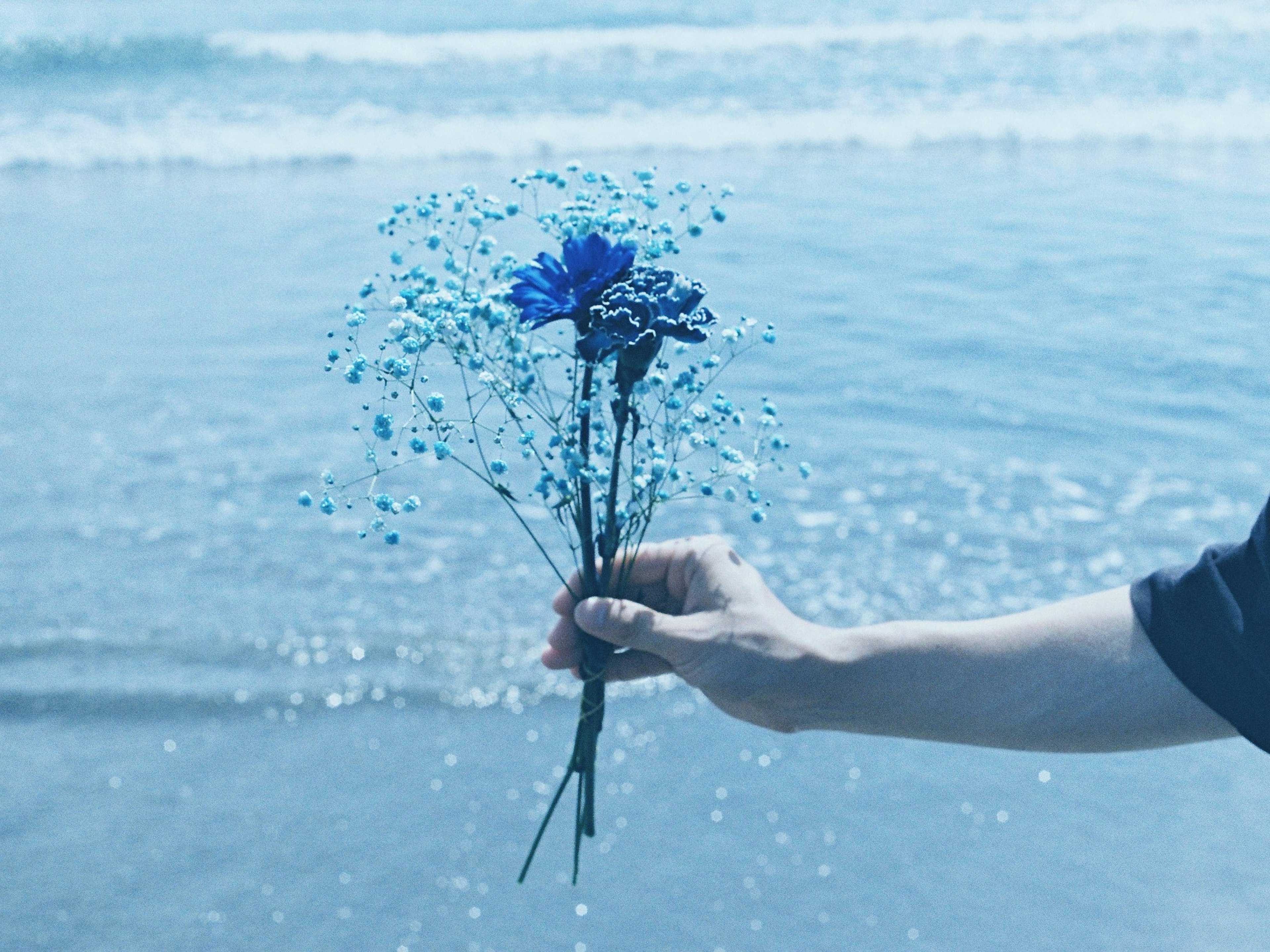 Hand hält einen Strauß blauer Blumen mit Ozeanhintergrund