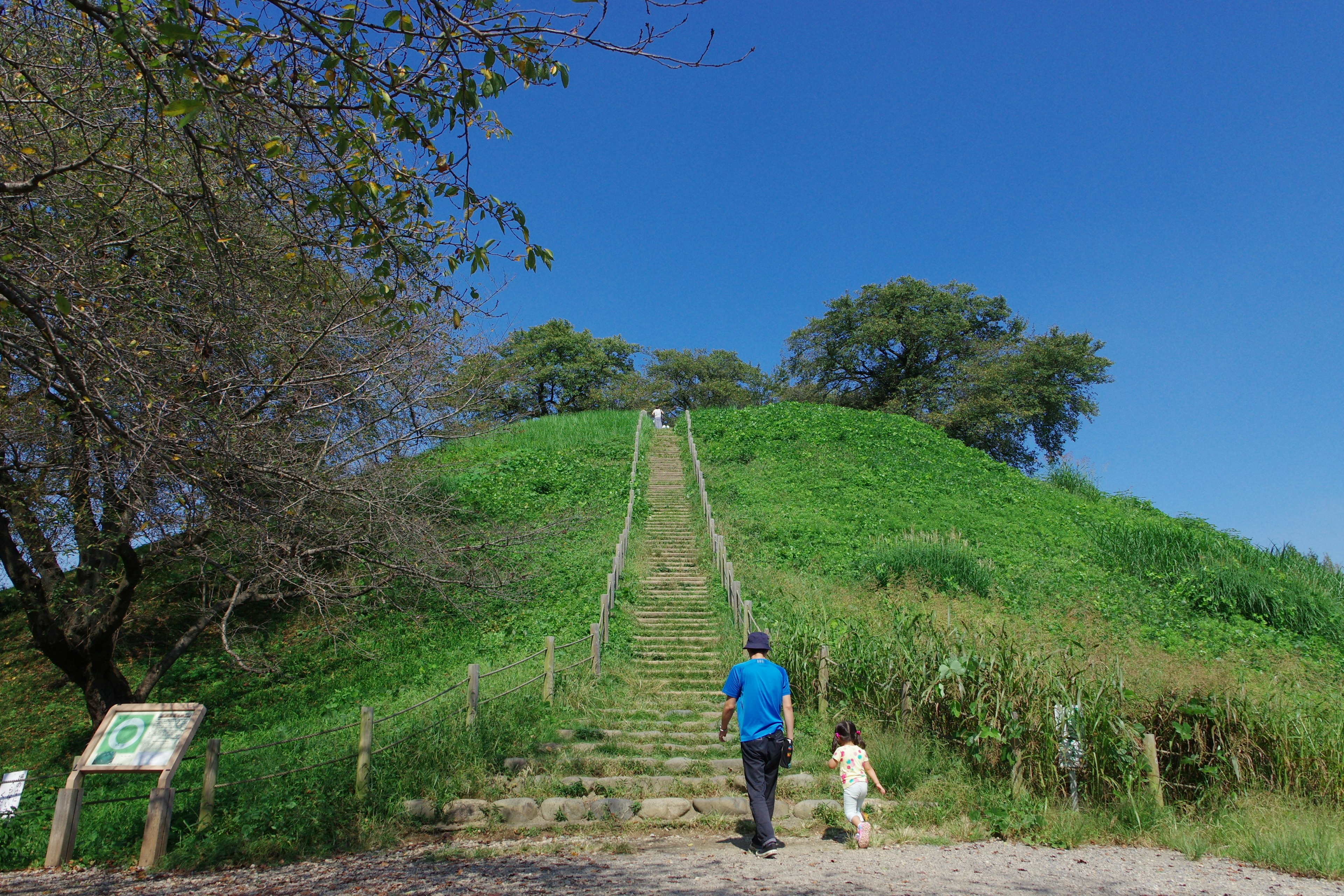 在藍天和樹木背景下，一個人和一隻狗正在攀登綠色山丘上的台階