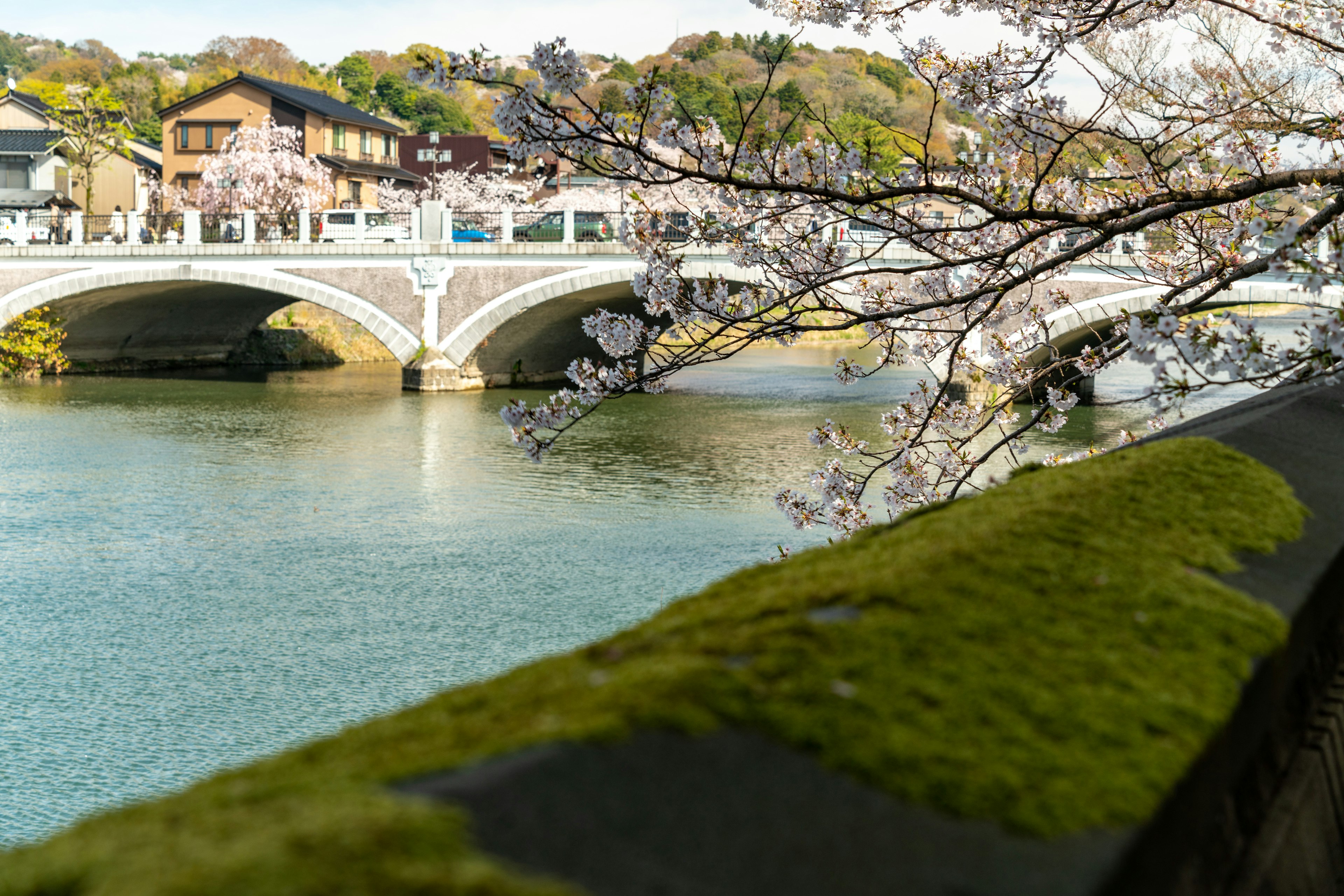 Malersicher Blick auf Kirschblüten entlang des Flusses mit einer Brücke und traditionellen Gebäuden