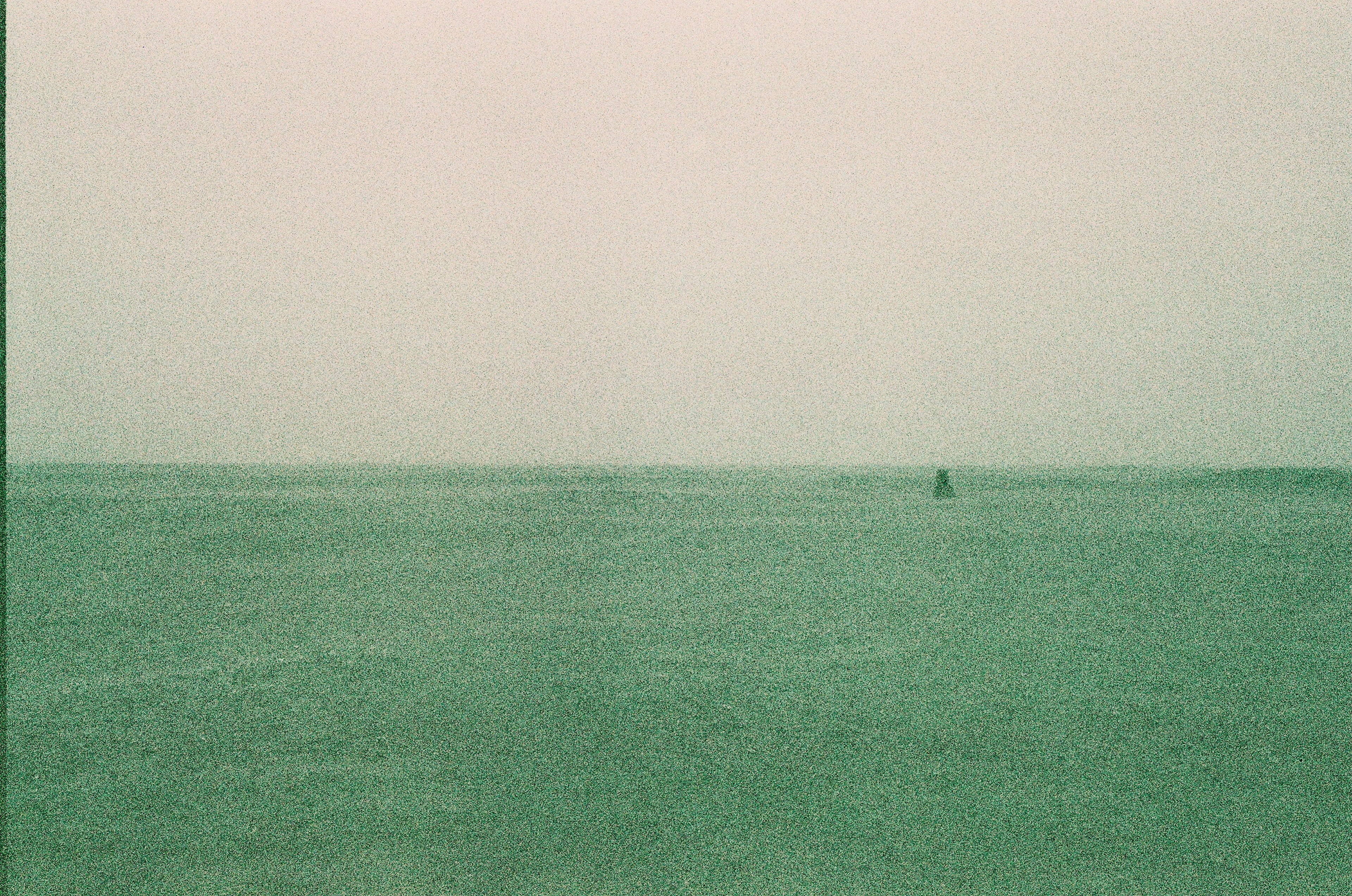 A person standing alone in a vast greenish landscape with a hazy sky