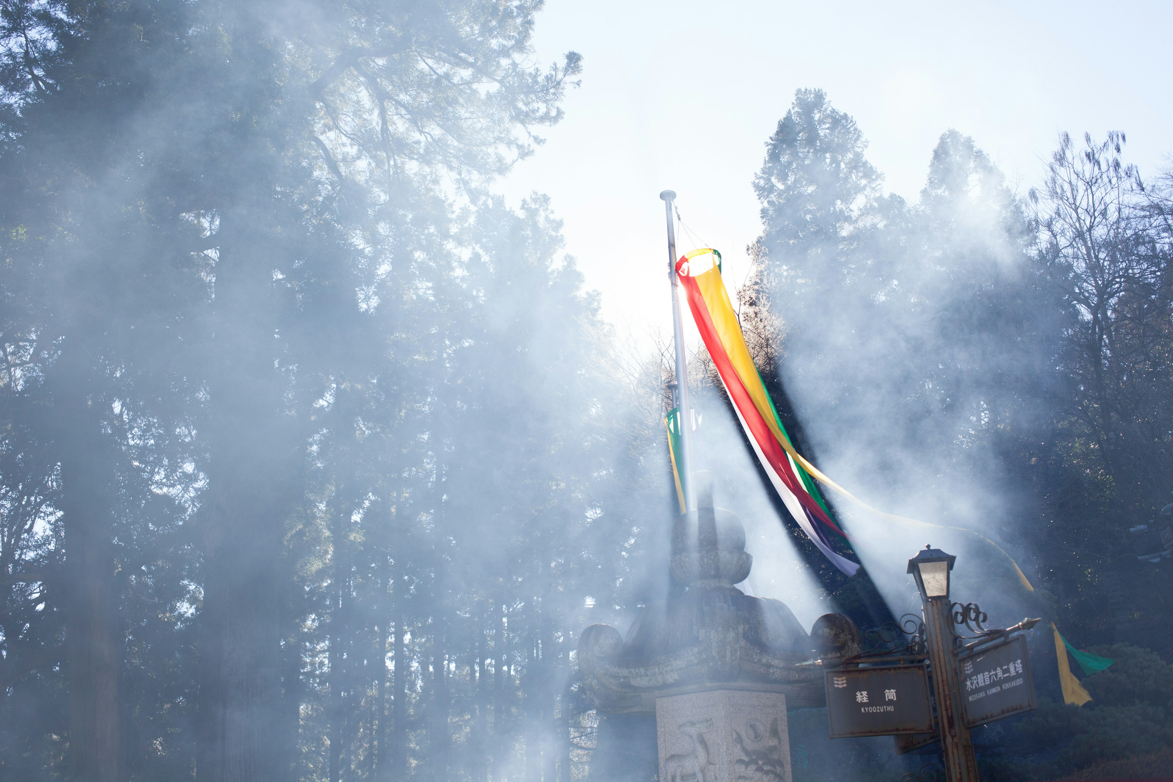 Colorful flag standing amidst smoke and silhouettes of trees