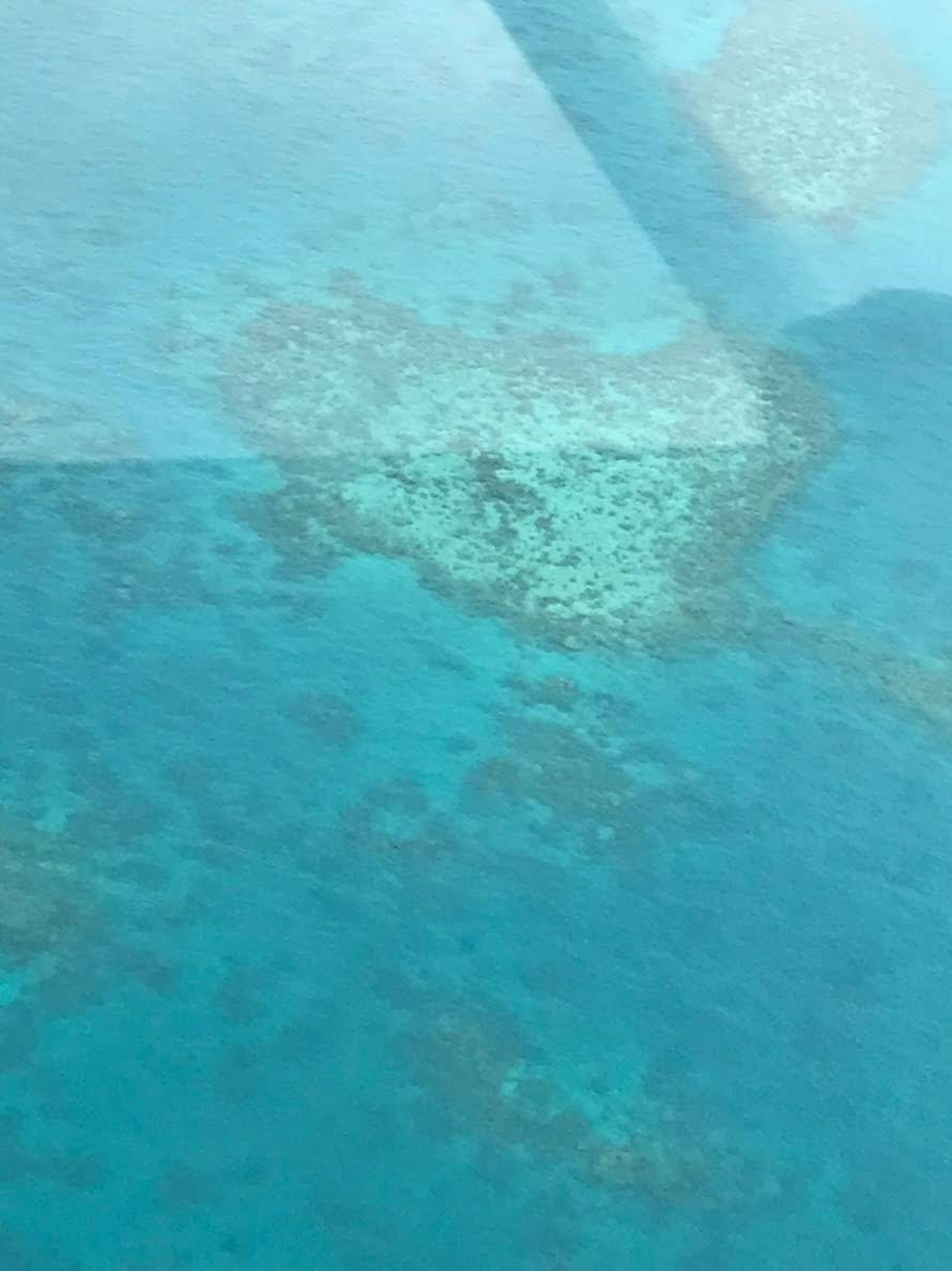 Pola terumbu karang yang terlihat di permukaan air laut biru