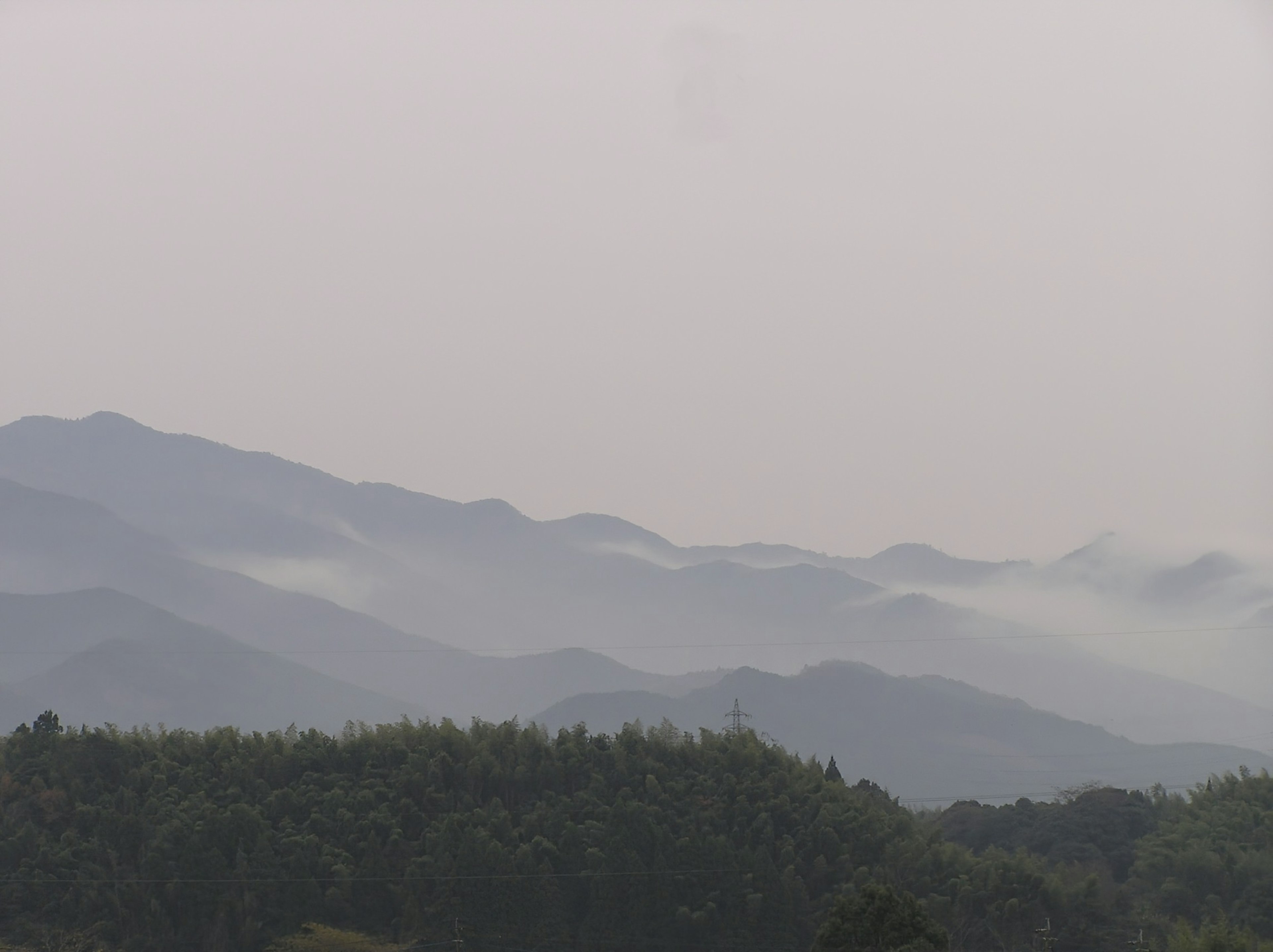 안개 낀 산의 풍경, 고요한 자연의 아름다움을 보여줌