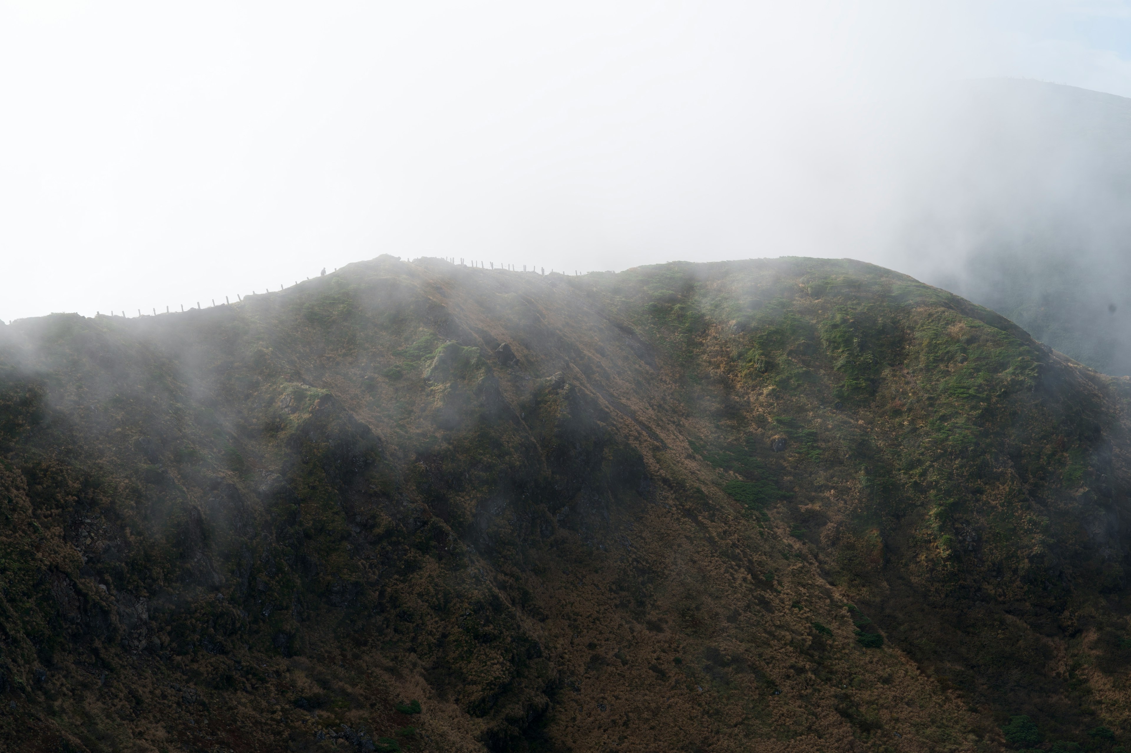 Berglandschaft in Nebel gehüllt mit grünen Hängen