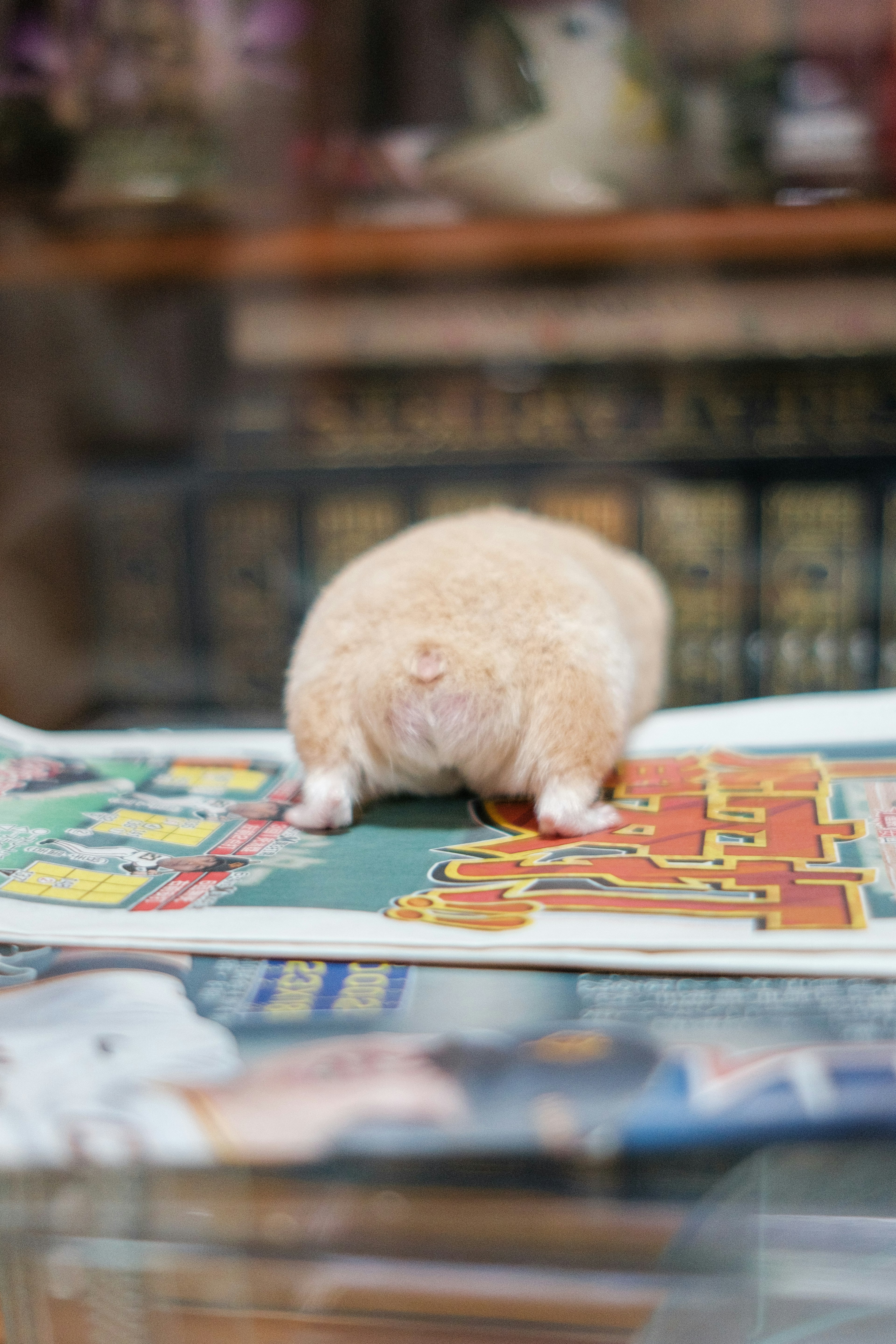 A small animal lying on a newspaper