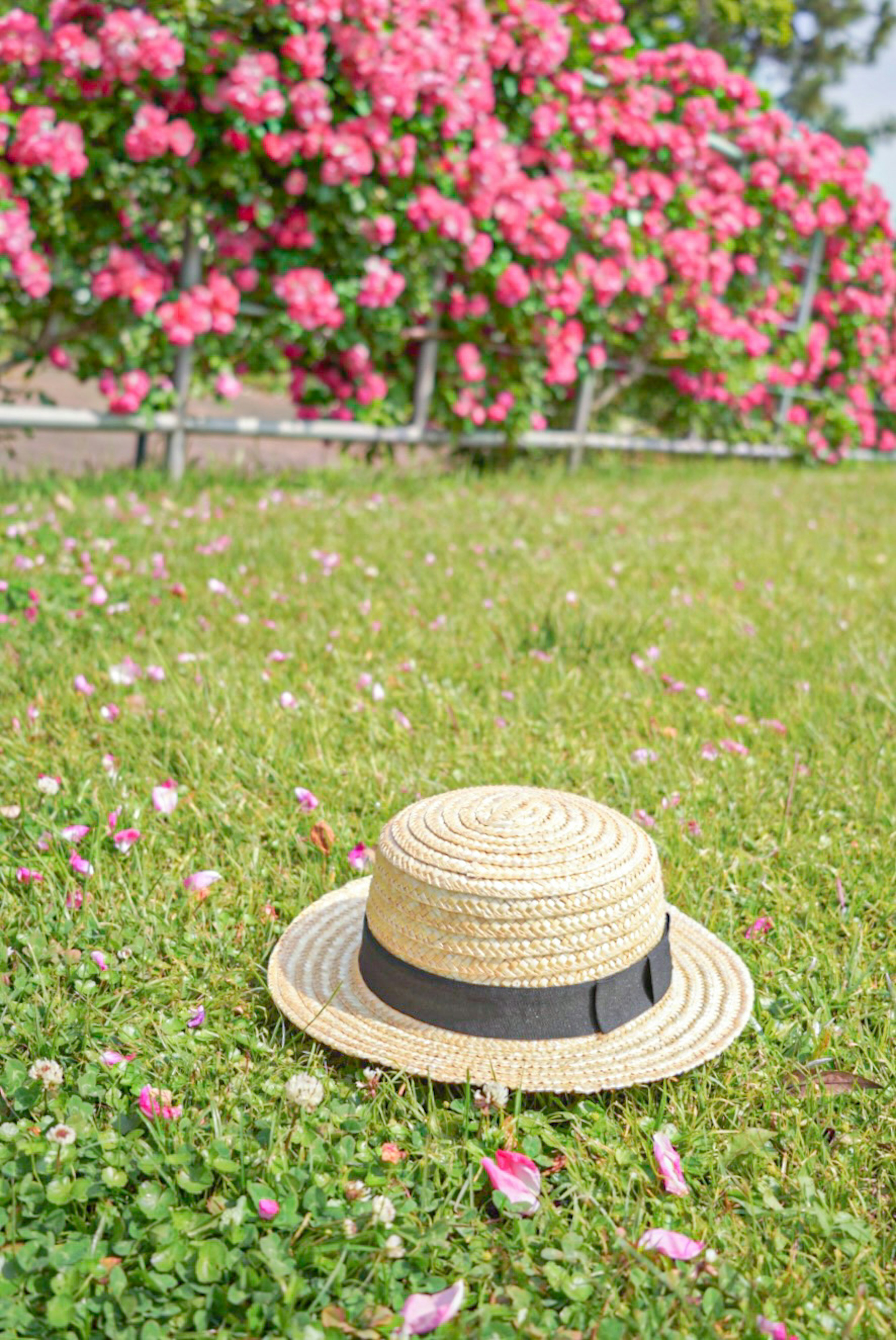 草の上に置かれたストローハットとピンクの花の背景